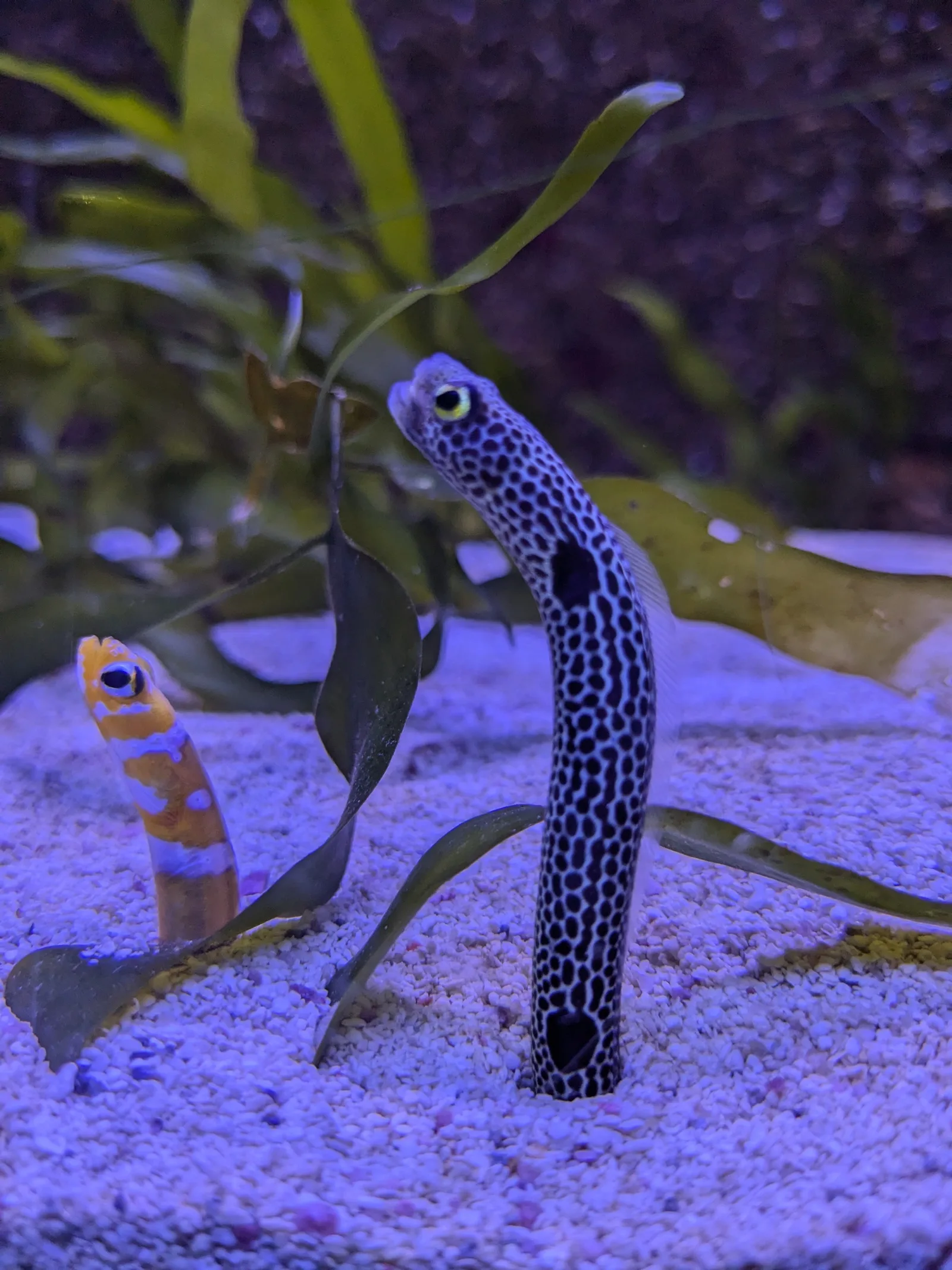 Interior at Aquarium of Lyon Lyon — travel photo
