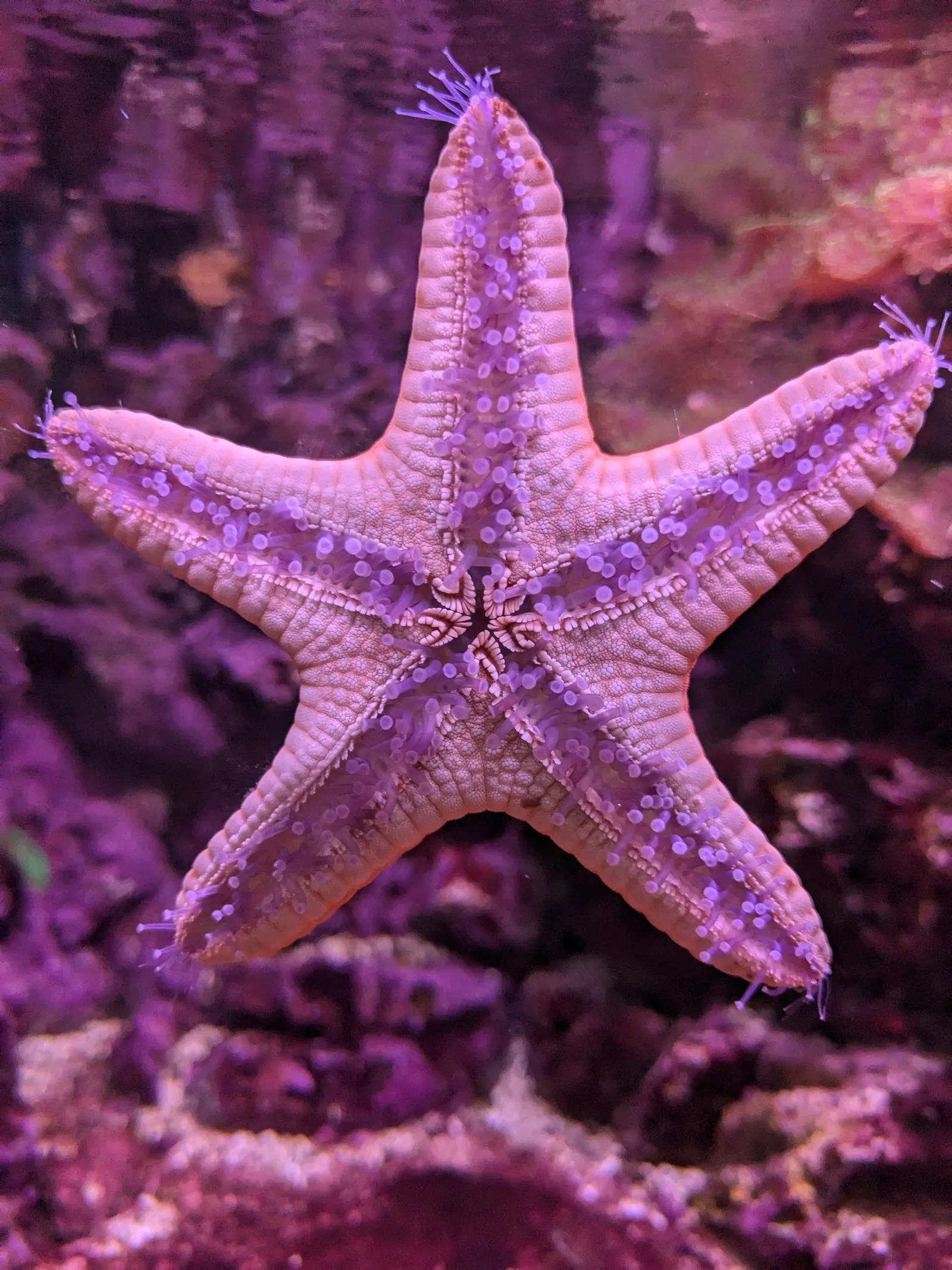 Atmosphere at Aquarium of Lyon Lyon — travel photo