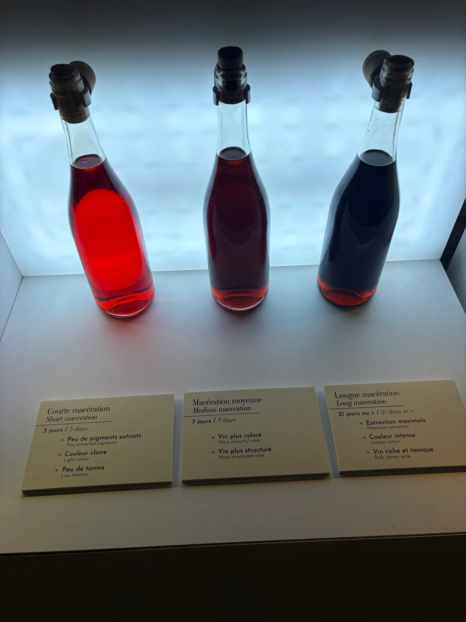 Interior at Le Petit Musée du Vin Lyon — travel photo