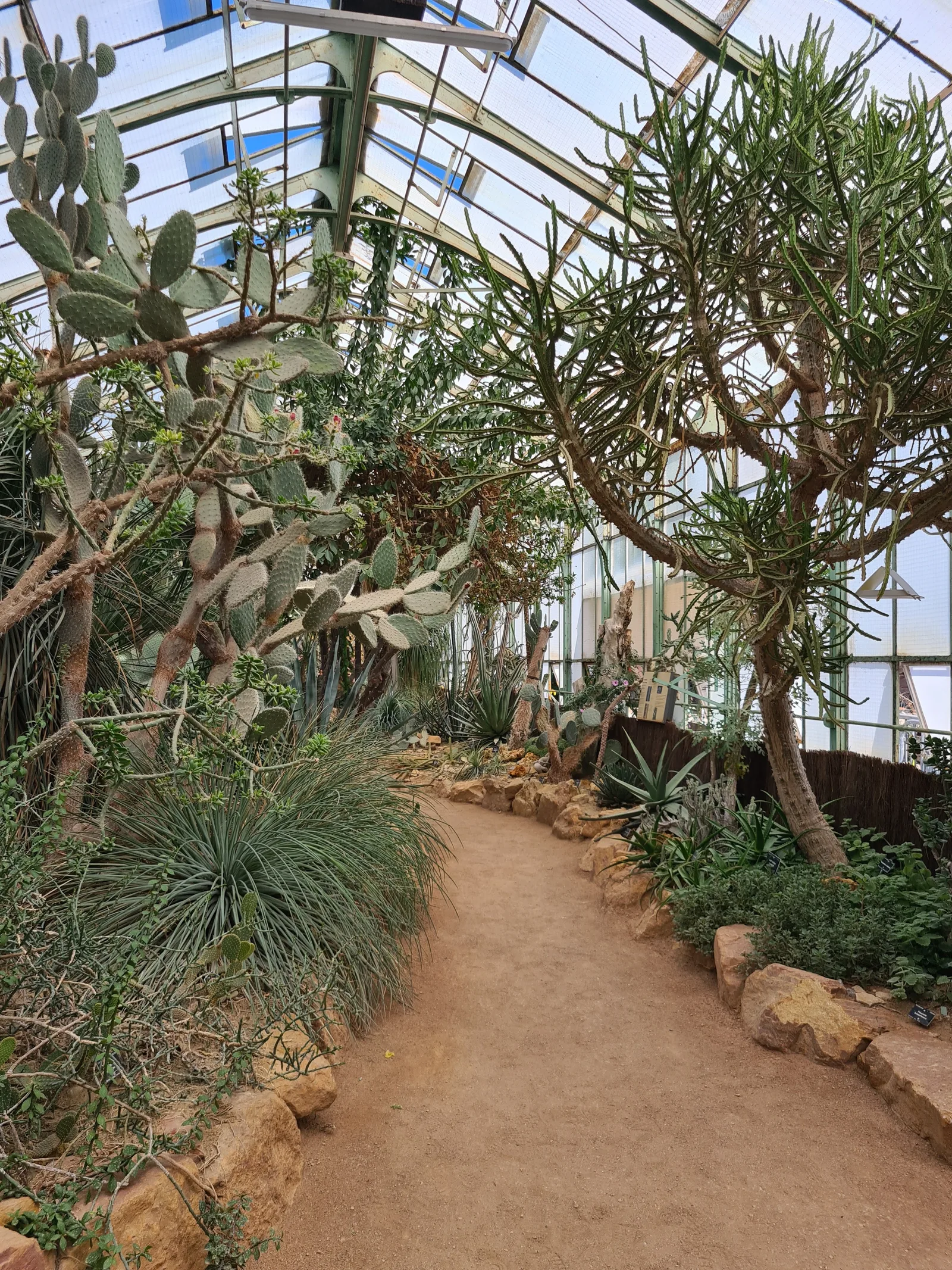 Main view at Lyon Botanical Garden Lyon — travel photo