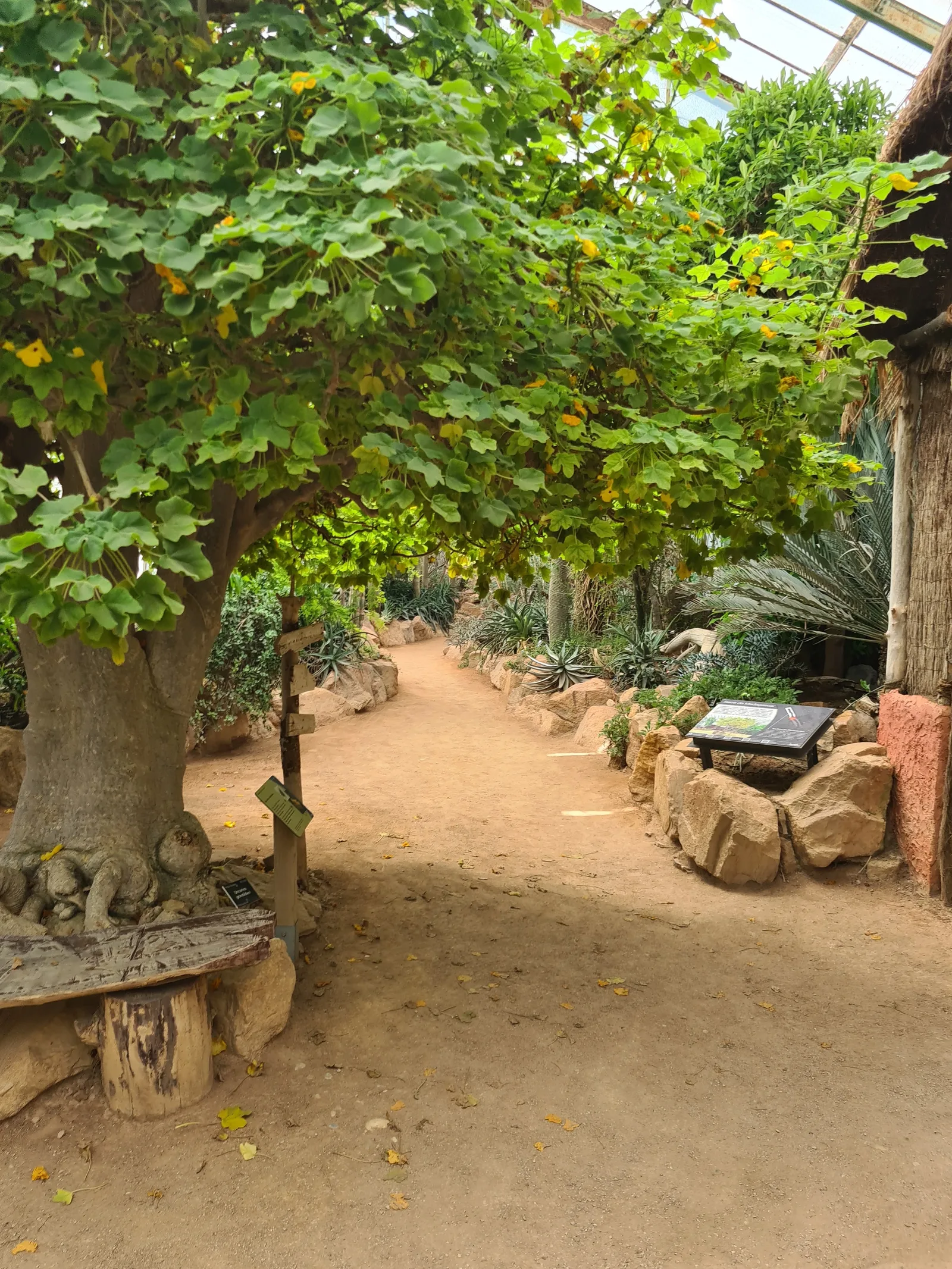 Interior at Lyon Botanical Garden Lyon — travel photo