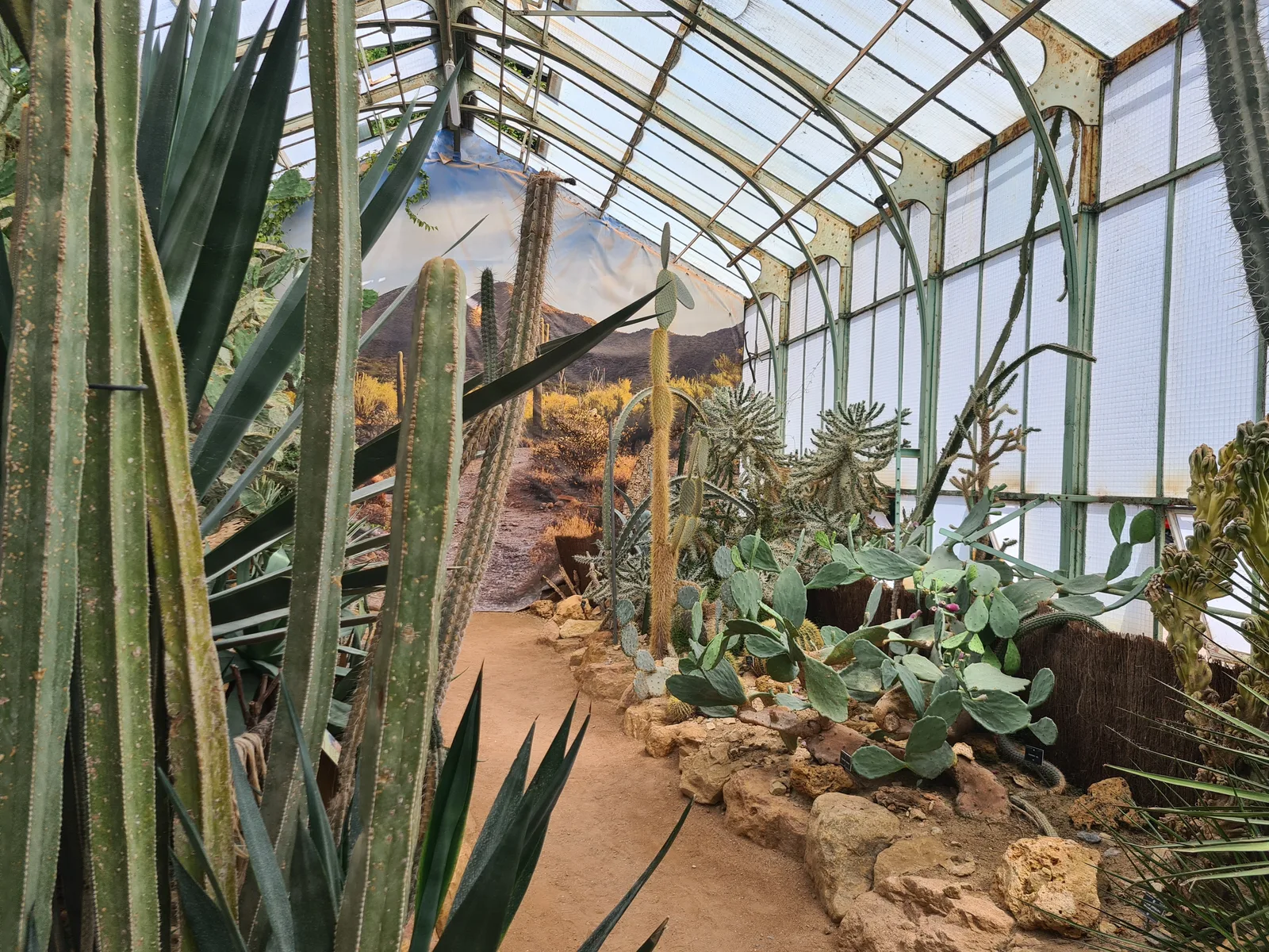 Details at Lyon Botanical Garden Lyon — travel photo