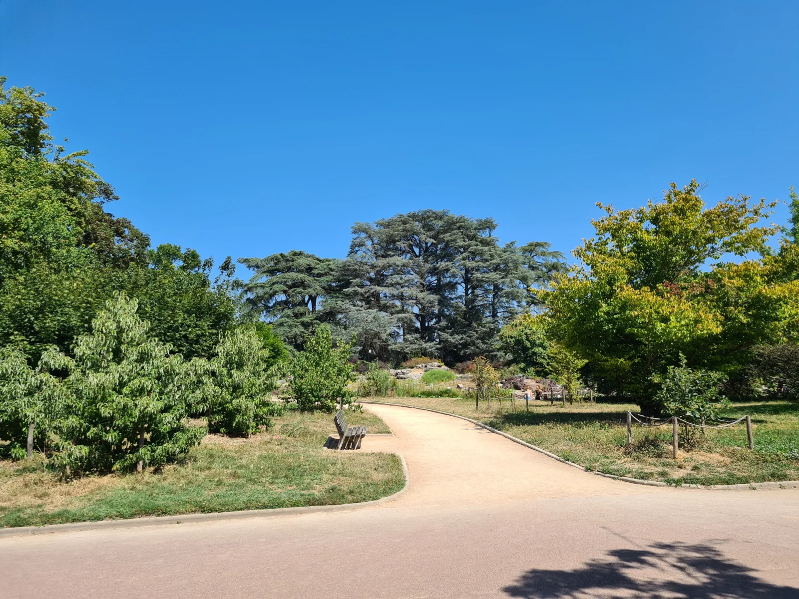 Atmosphere at Lyon Botanical Garden Lyon — travel photo