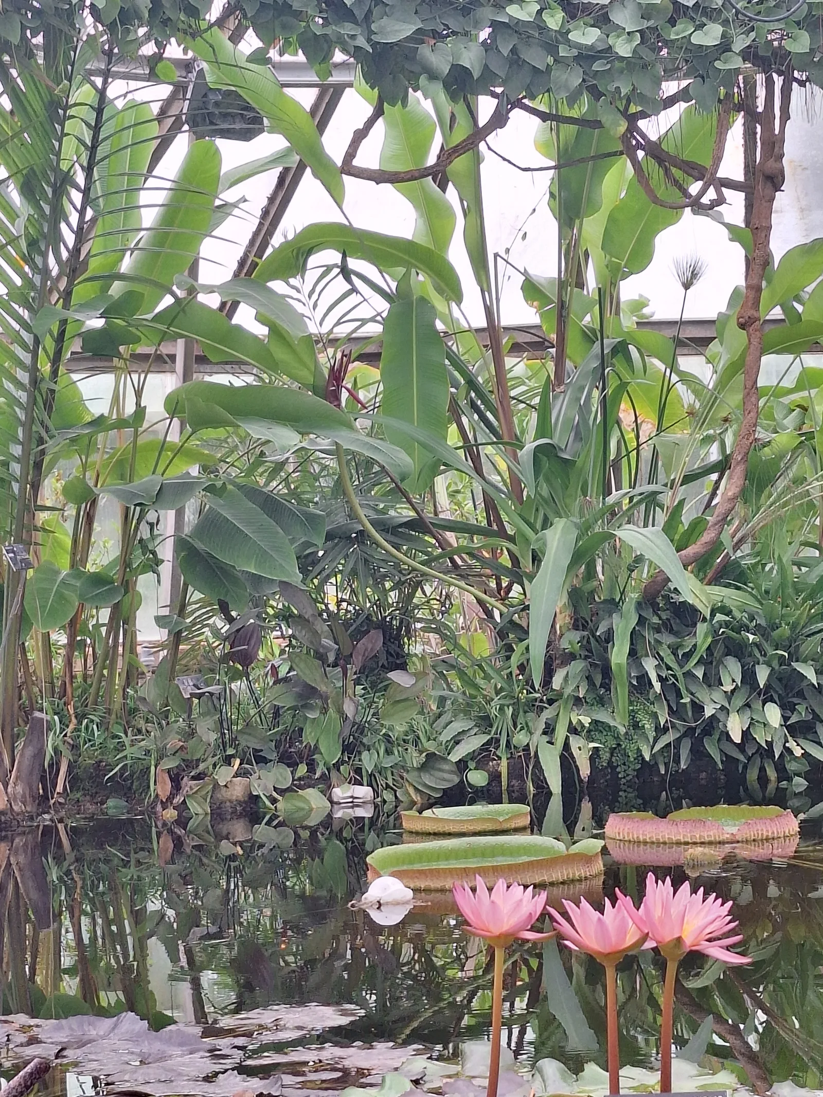 Atmosphere at Lyon Zoo Lyon — travel photo