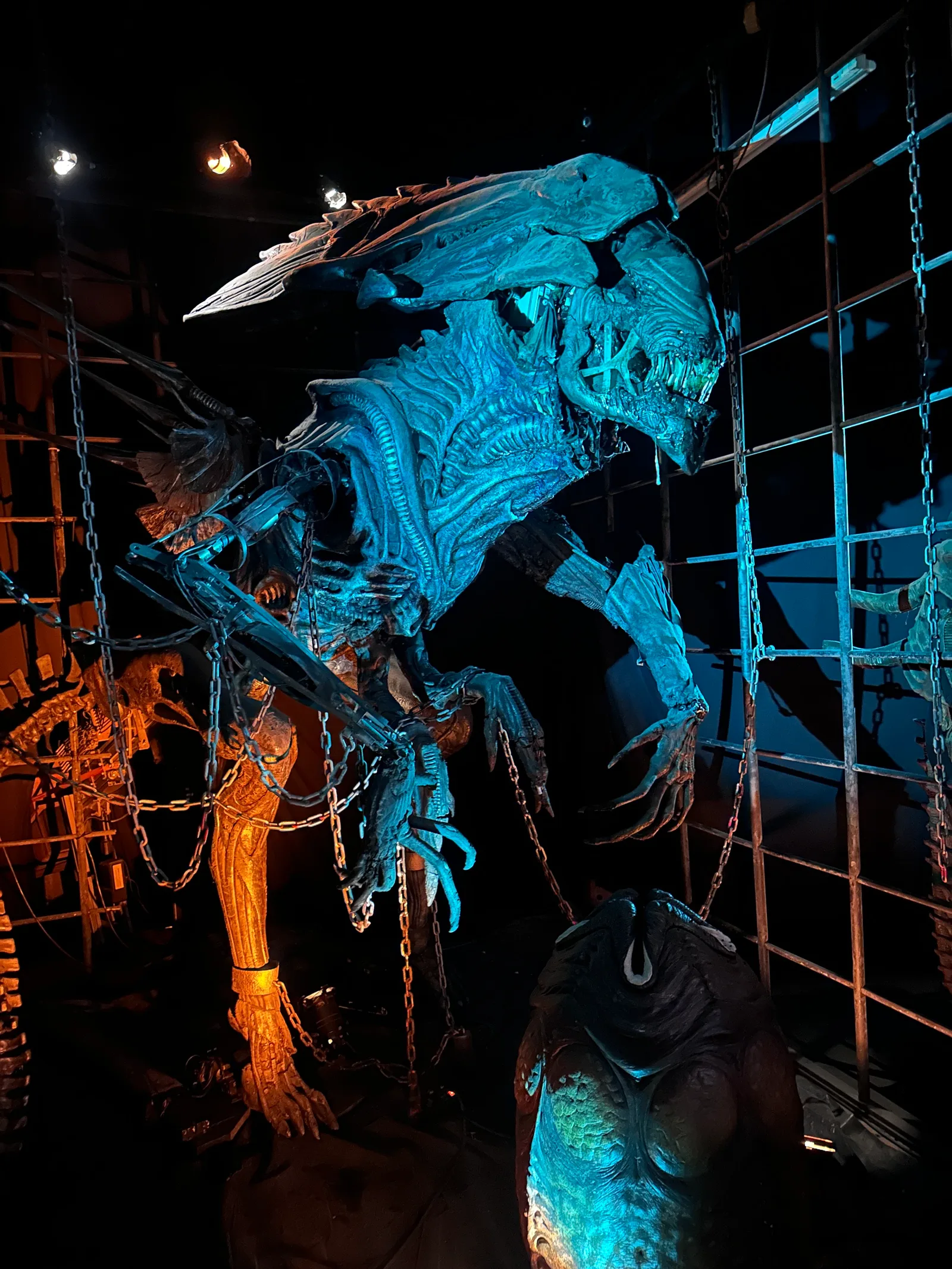 Main view at Musée de l'illusion LYON Lyon — travel photo