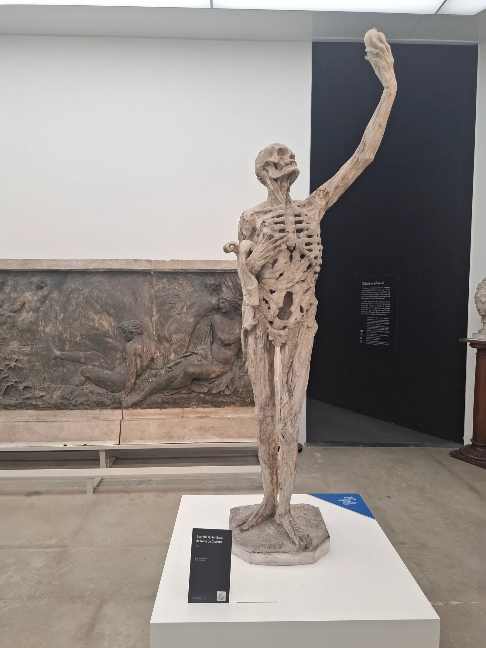 Details at Musée des Moulages Lyon — travel photo