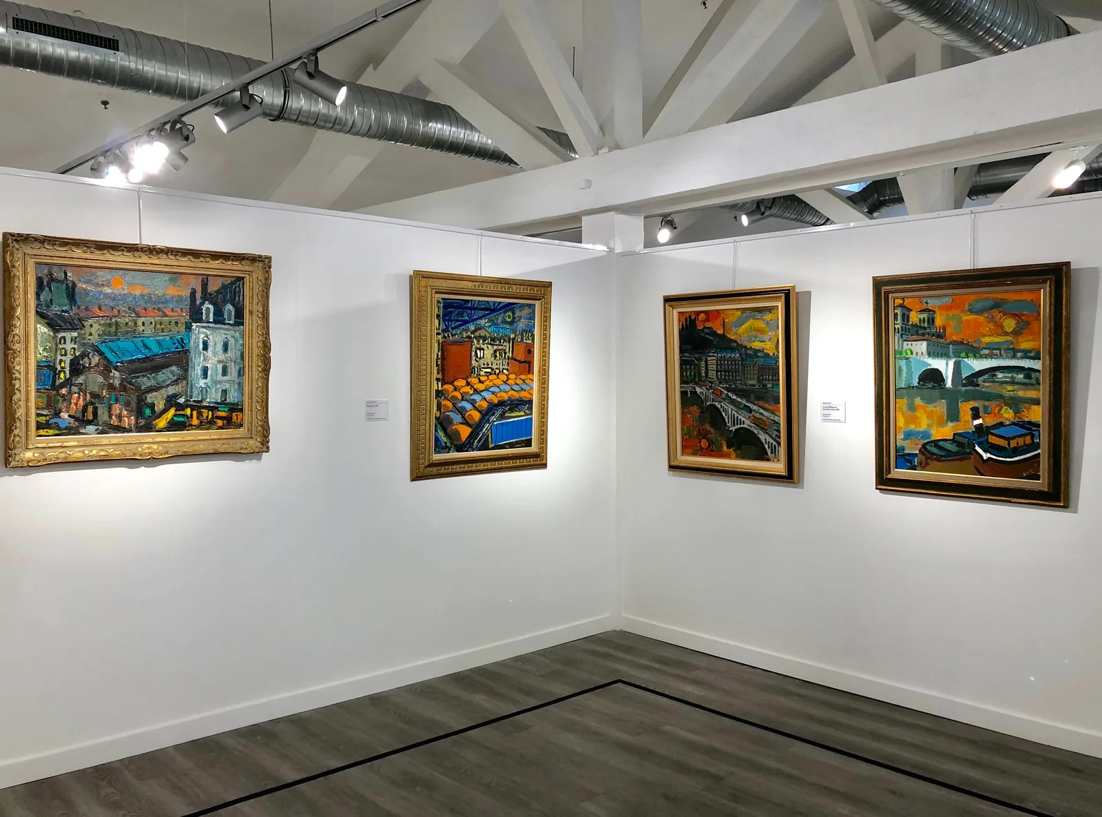 Main view at Museum Jean Couty Lyon — travel photo