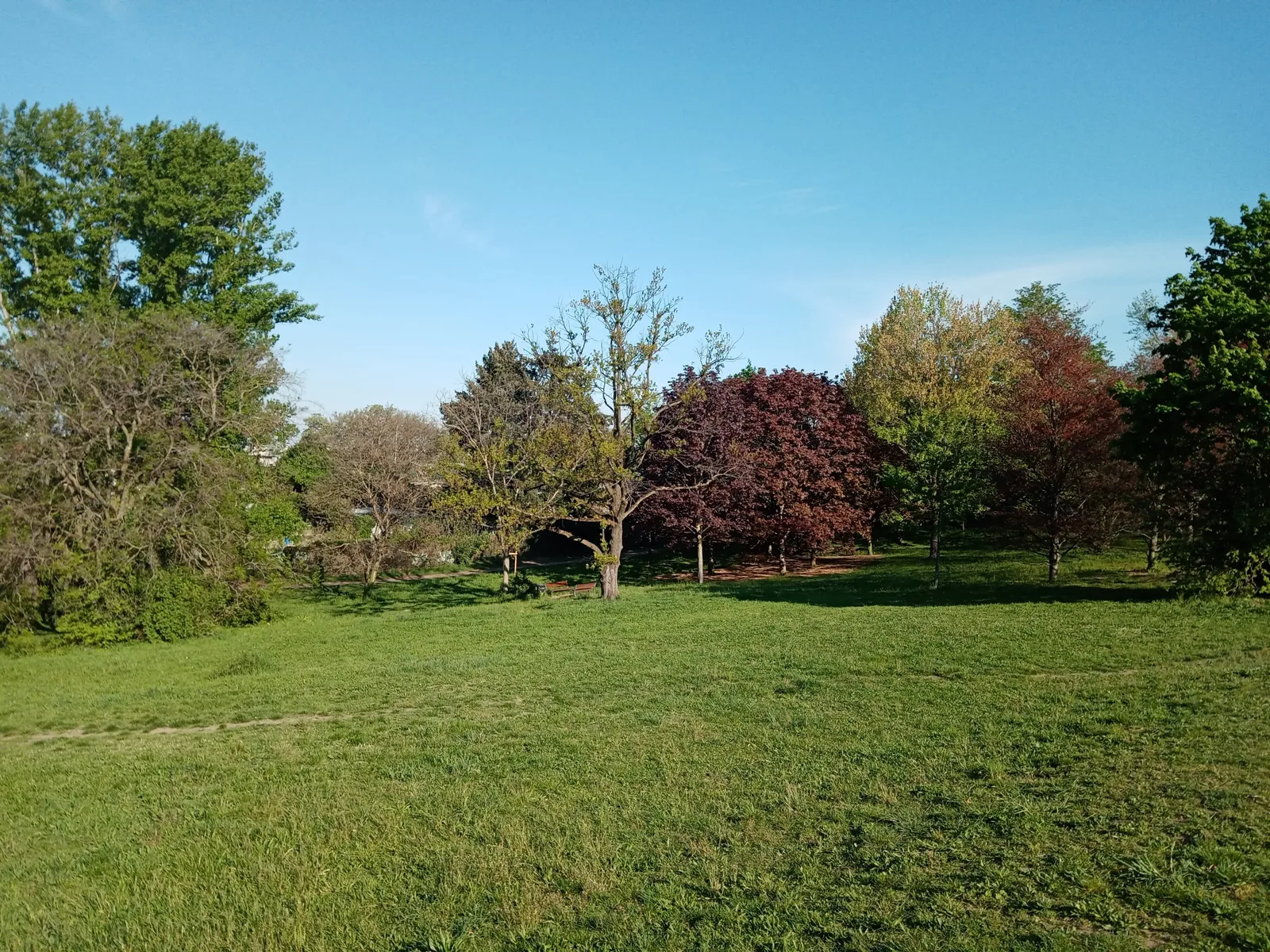 Parc Chambovet — budget guide Lyon