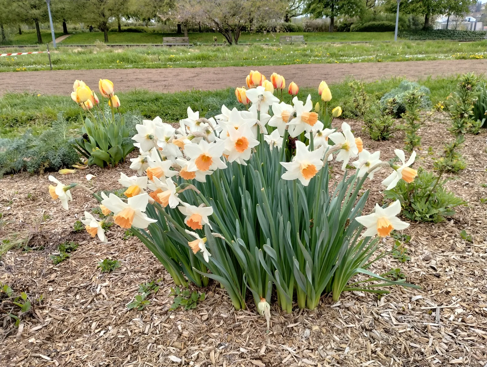 Details at Parc de Gerland Lyon — travel photo