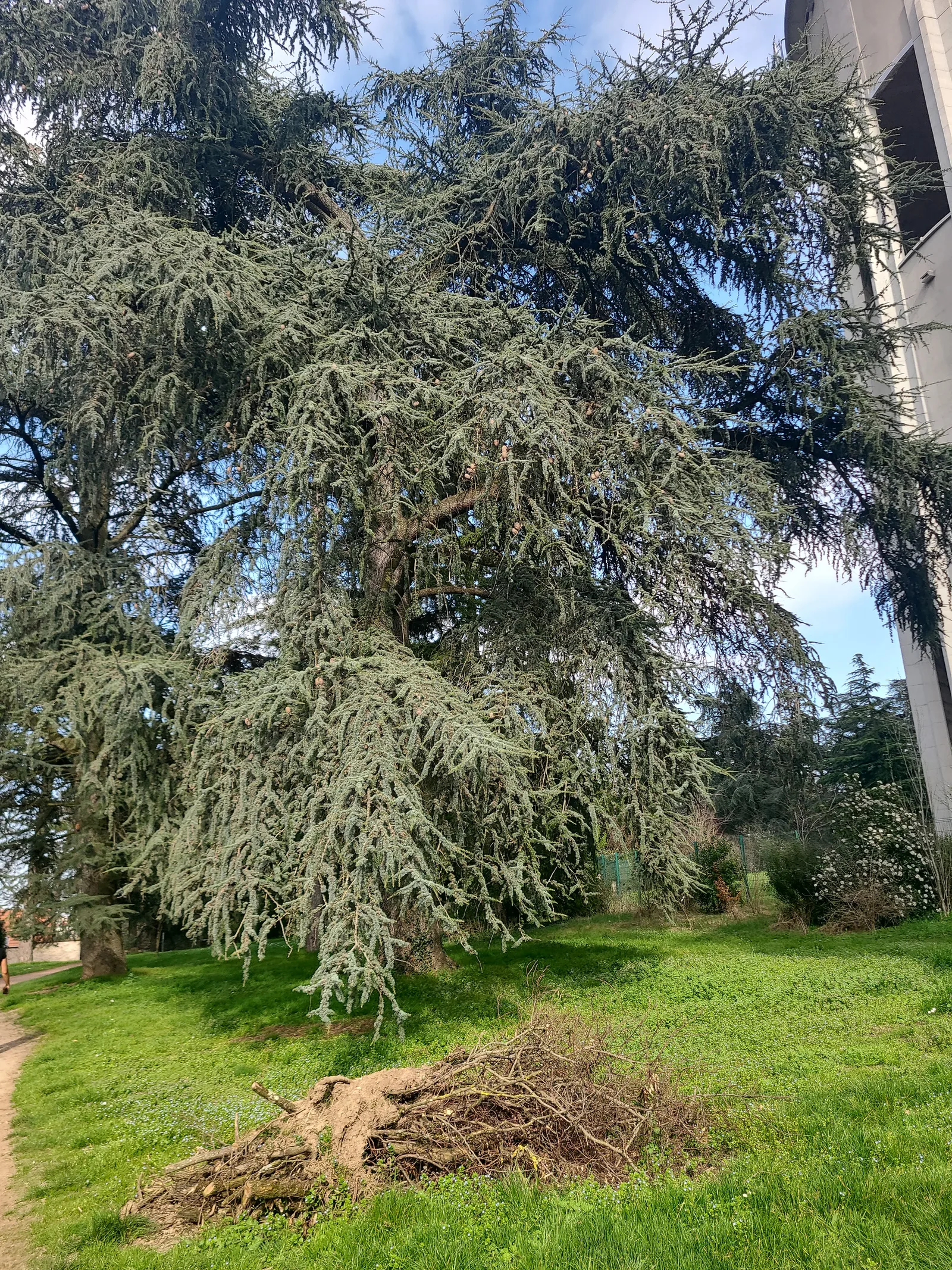 Main view at Parc de Parilly Lyon — travel photo