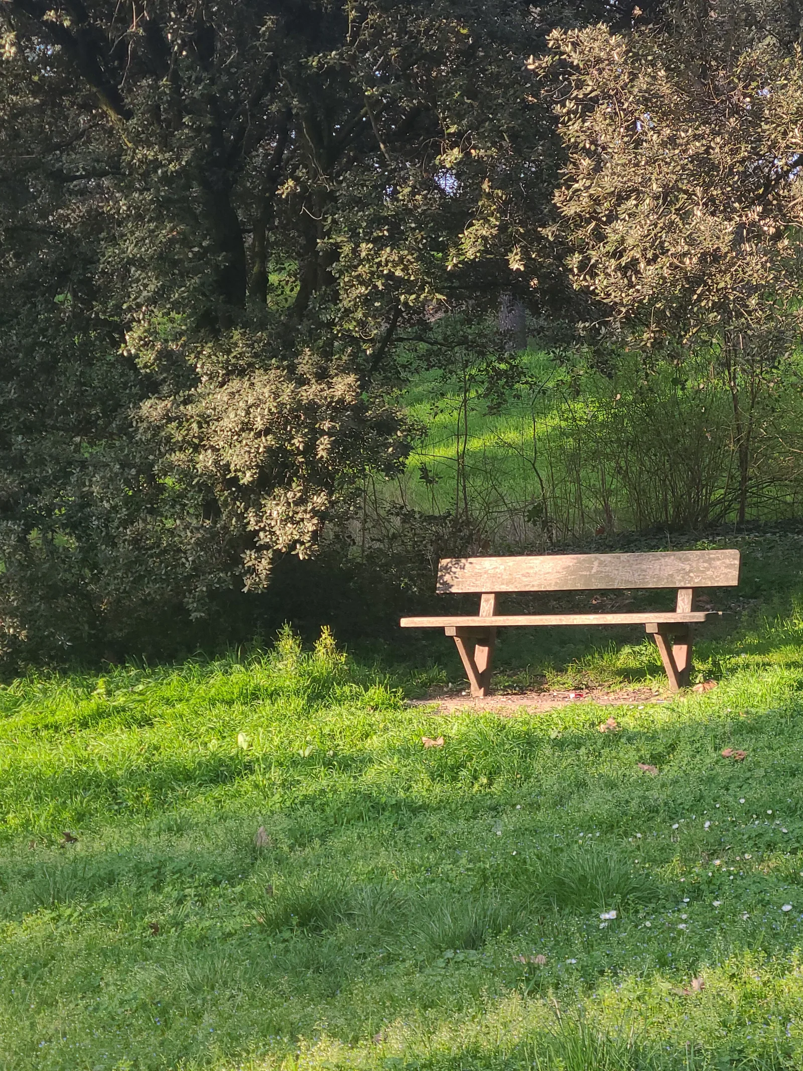 Interior at Parc de Parilly Lyon — travel photo