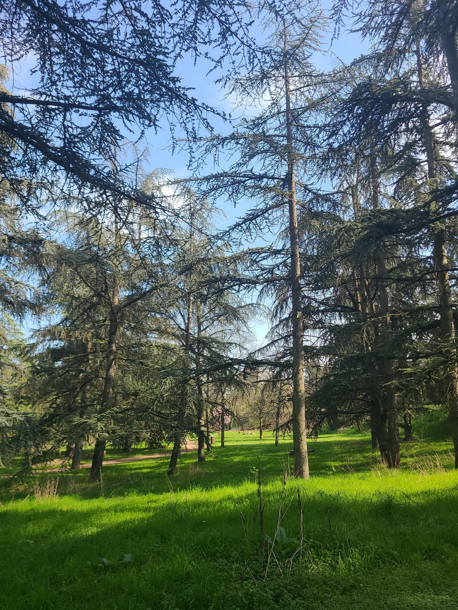 Details at Parc de Parilly Lyon — travel photo