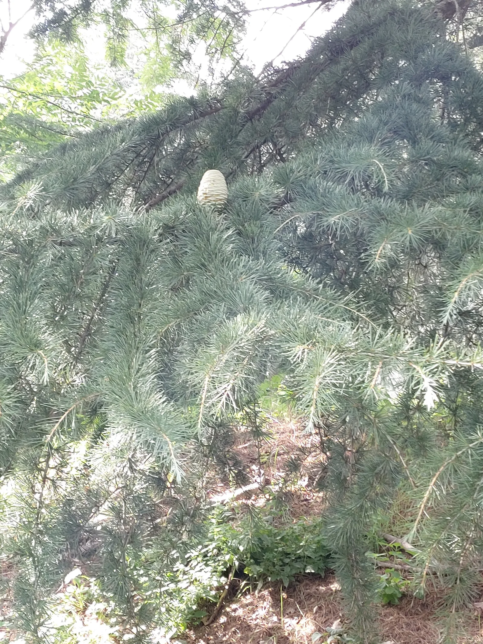 Atmosphere at Parc de Parilly Lyon — travel photo
