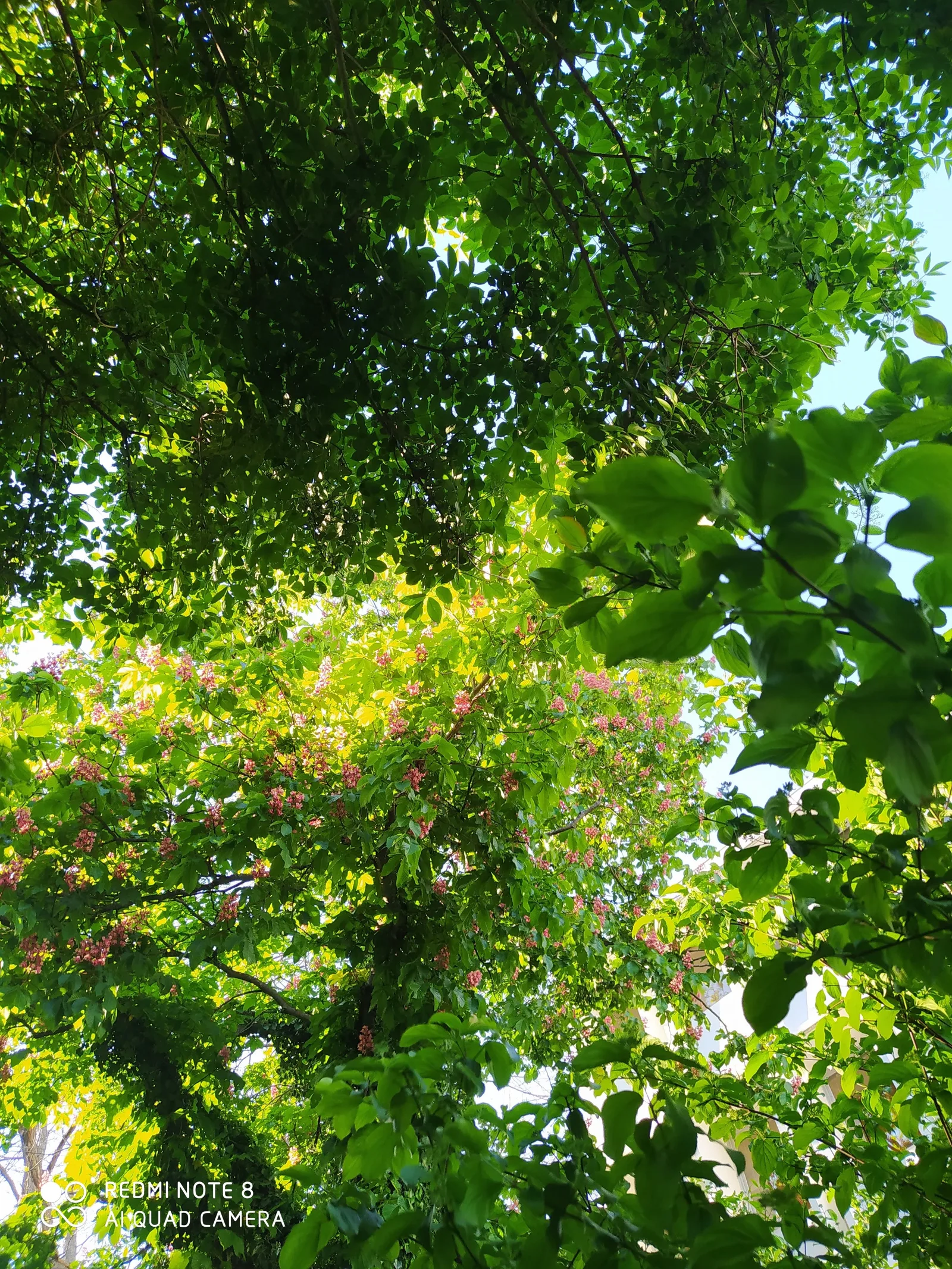 Details at Parc du Vallon Lyon — travel photo