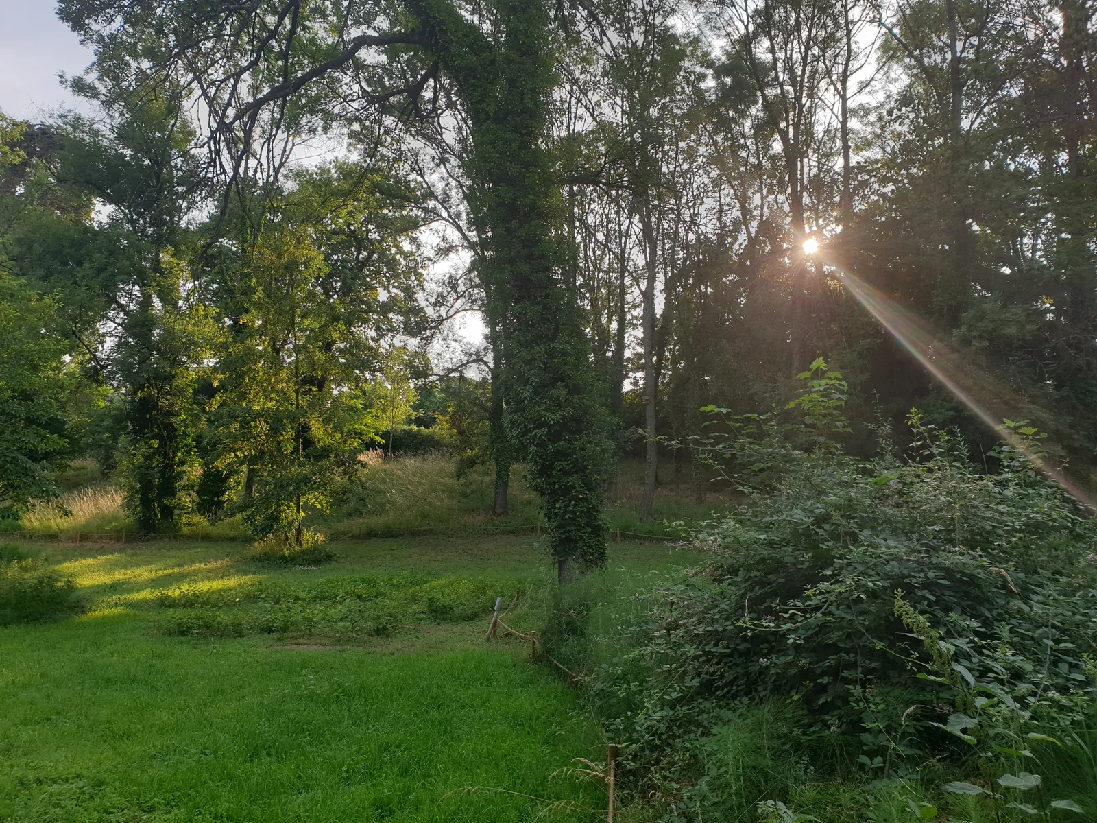 Interior at Parc du Vivier Lyon — travel photo