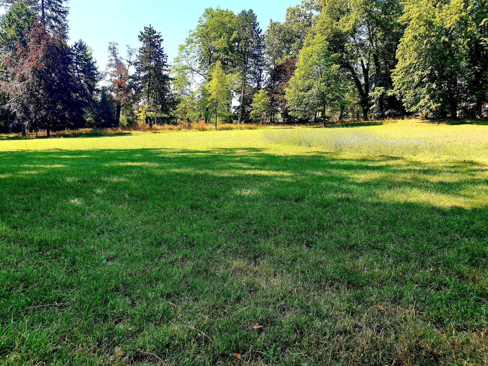Atmosphere at Parc du Vivier Lyon — travel photo