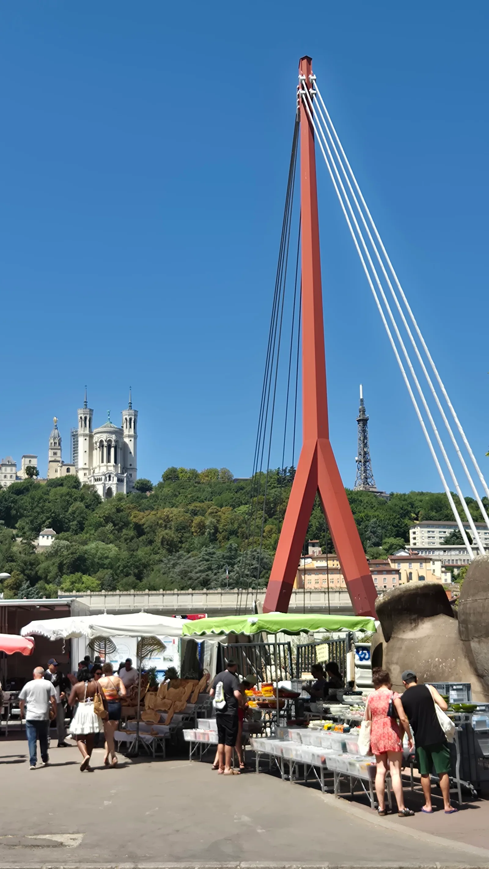 Main view at Passerelle Pierre-Truche Lyon — travel photo