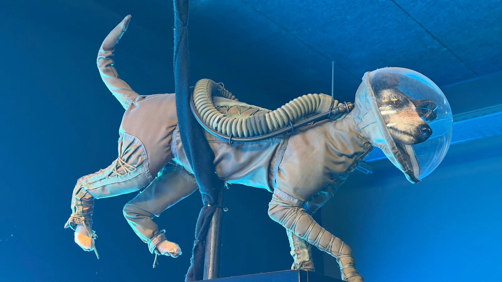 Main view at Planétarium Lyon — travel photo
