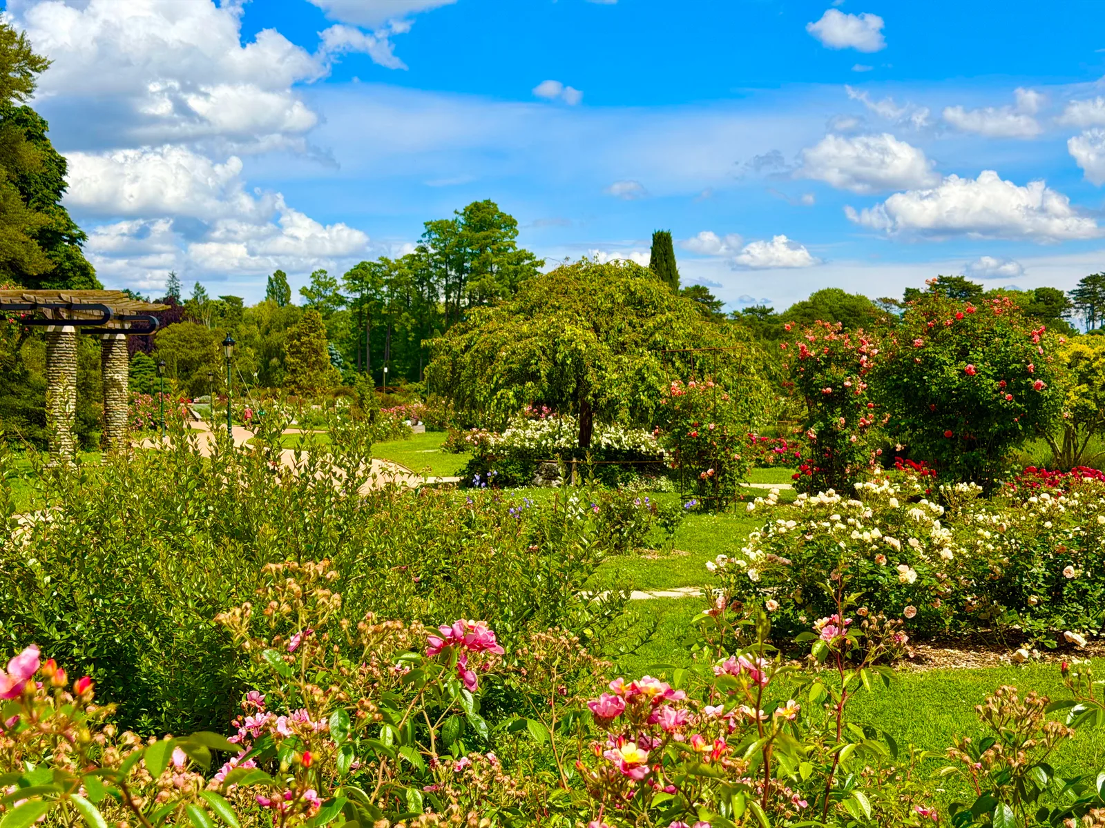 Atmosphere at Roseraie Internationale Lyon — travel photo