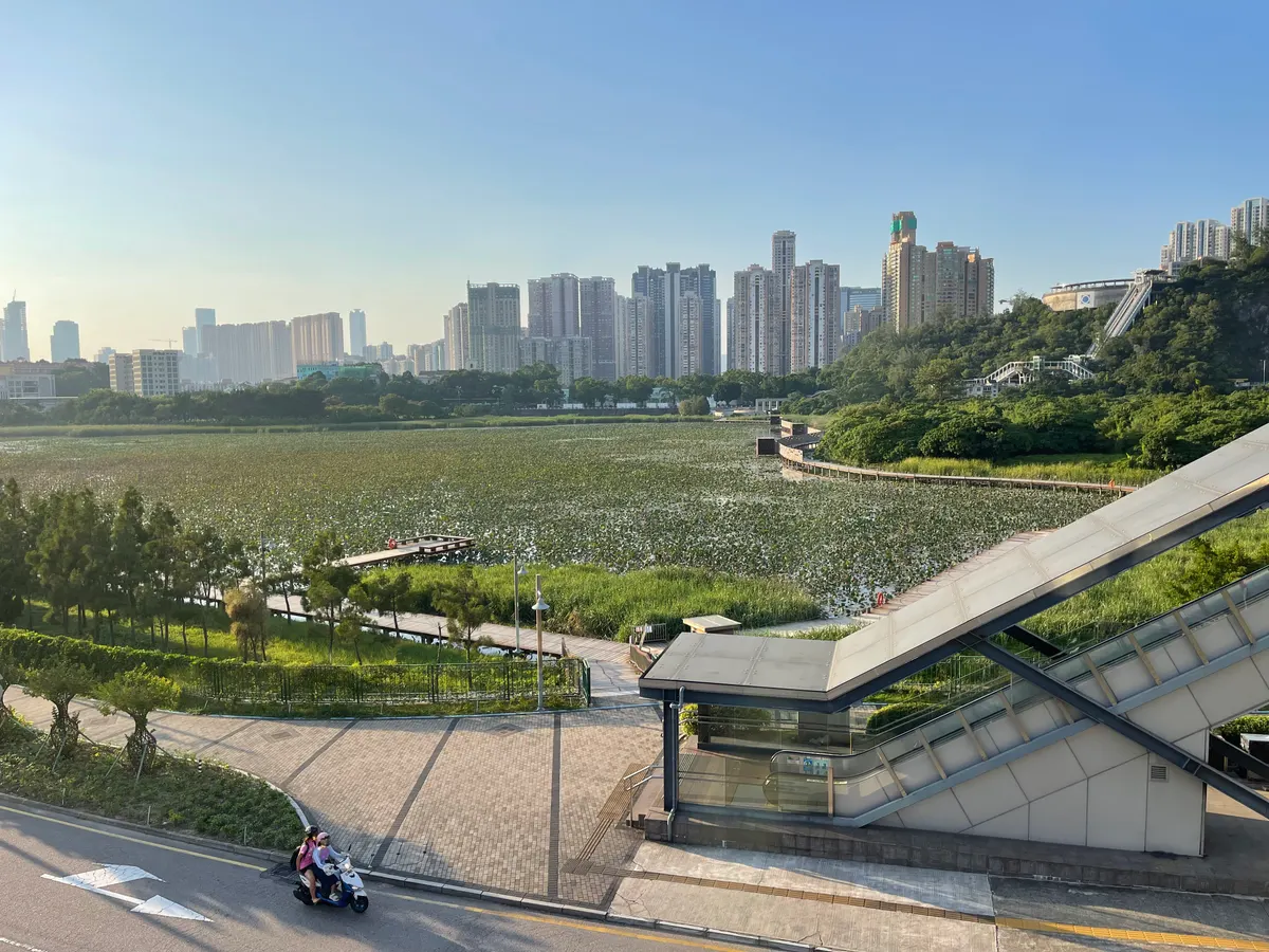 Main view at Ecological pond of Wetland Macau — travel photo