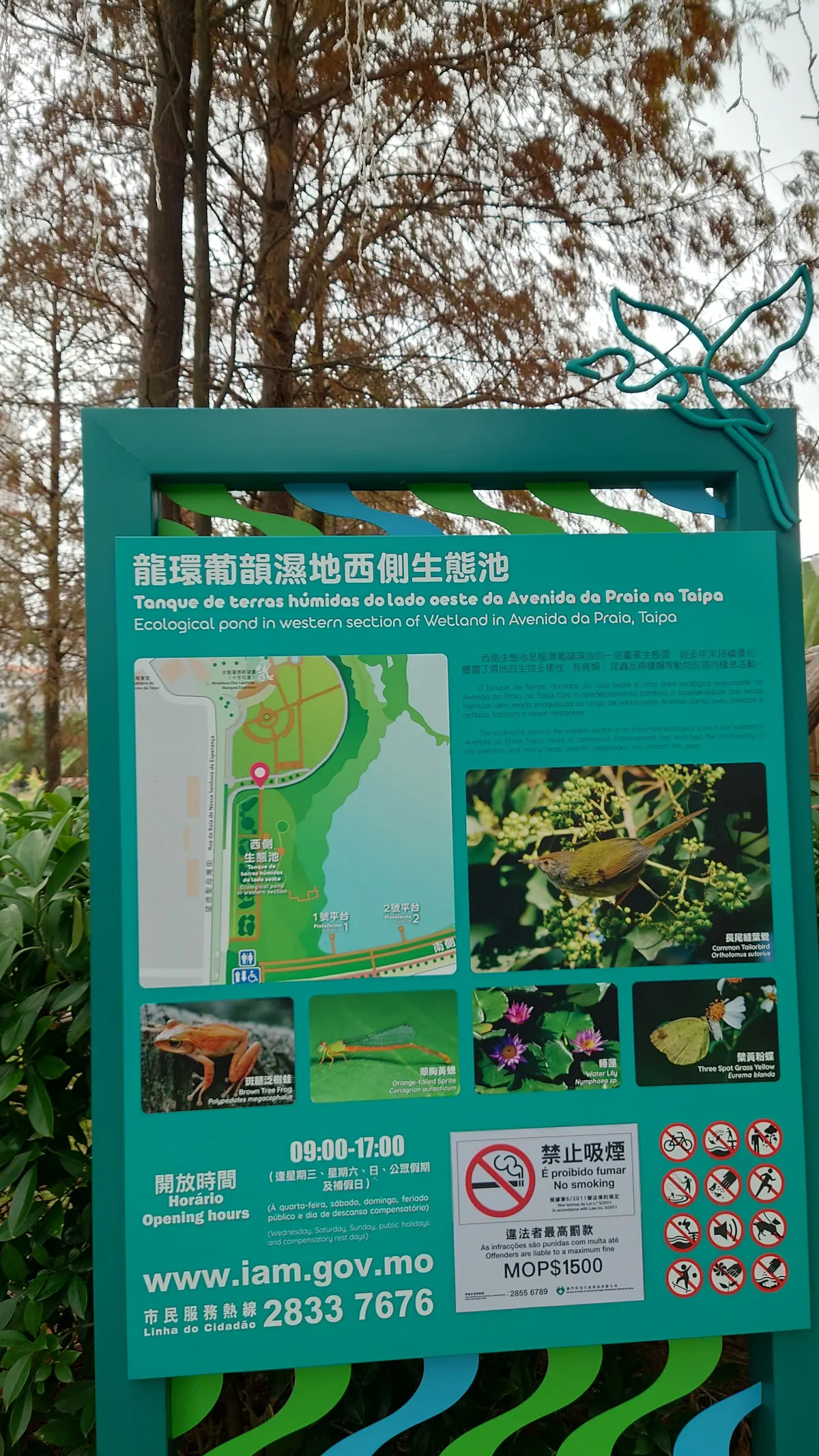 Interior at Ecological pond of Wetland Macau — travel photo