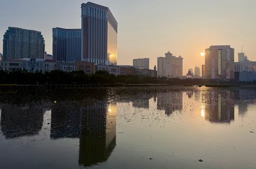 Details at Ecological pond of Wetland Macau — travel photo