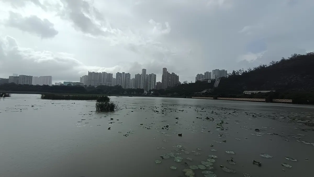 Ecological pond of Wetland