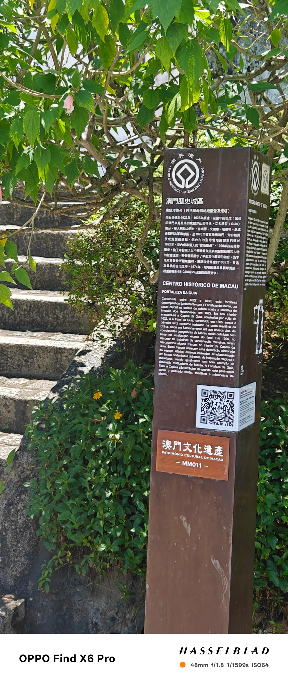 Flora Garden