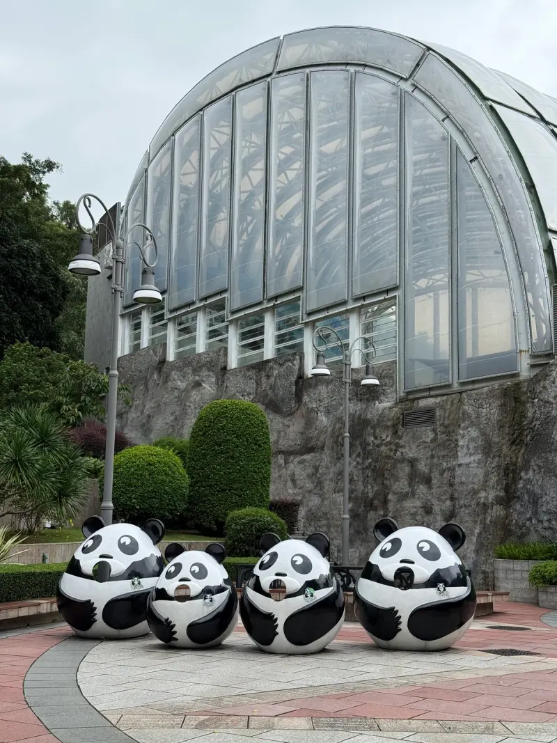 Macao Giant Panda Pavilion in Macau