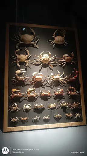 Details at Macao Science Center Macau — travel photo
