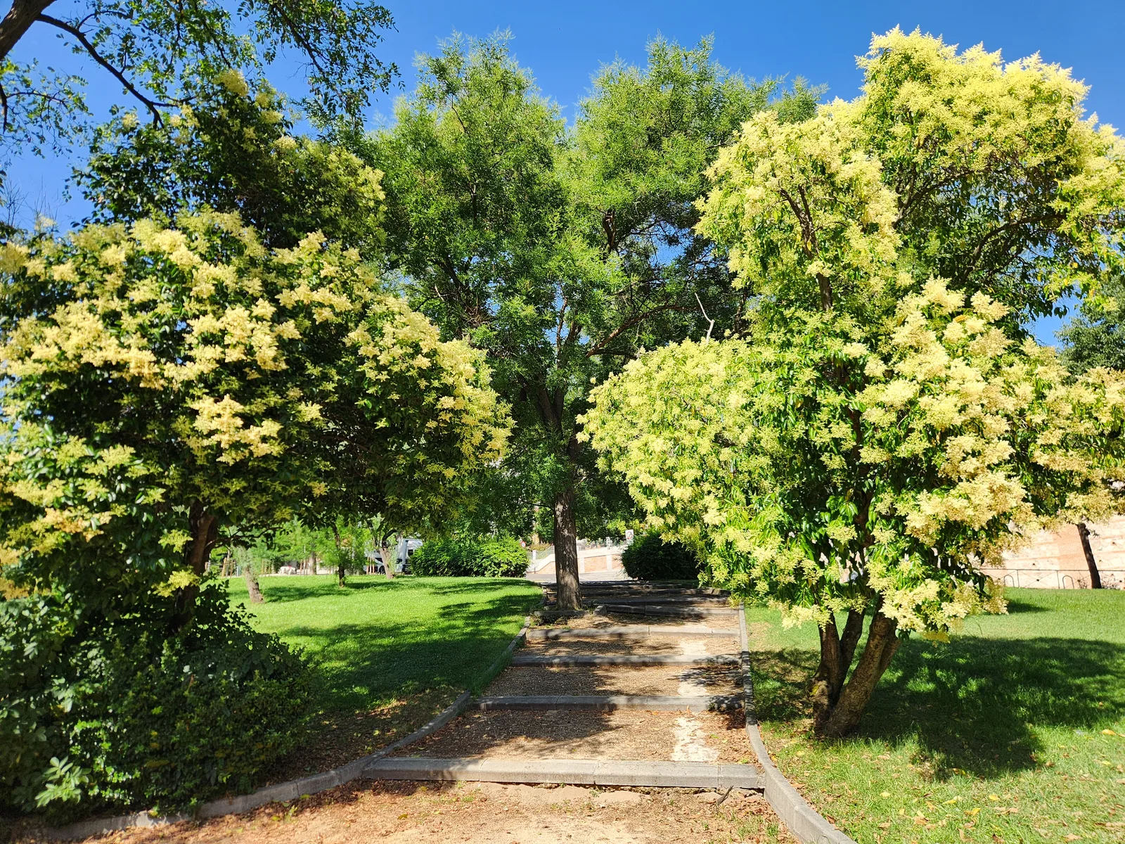 Main view at Athens Park Madrid — travel photo