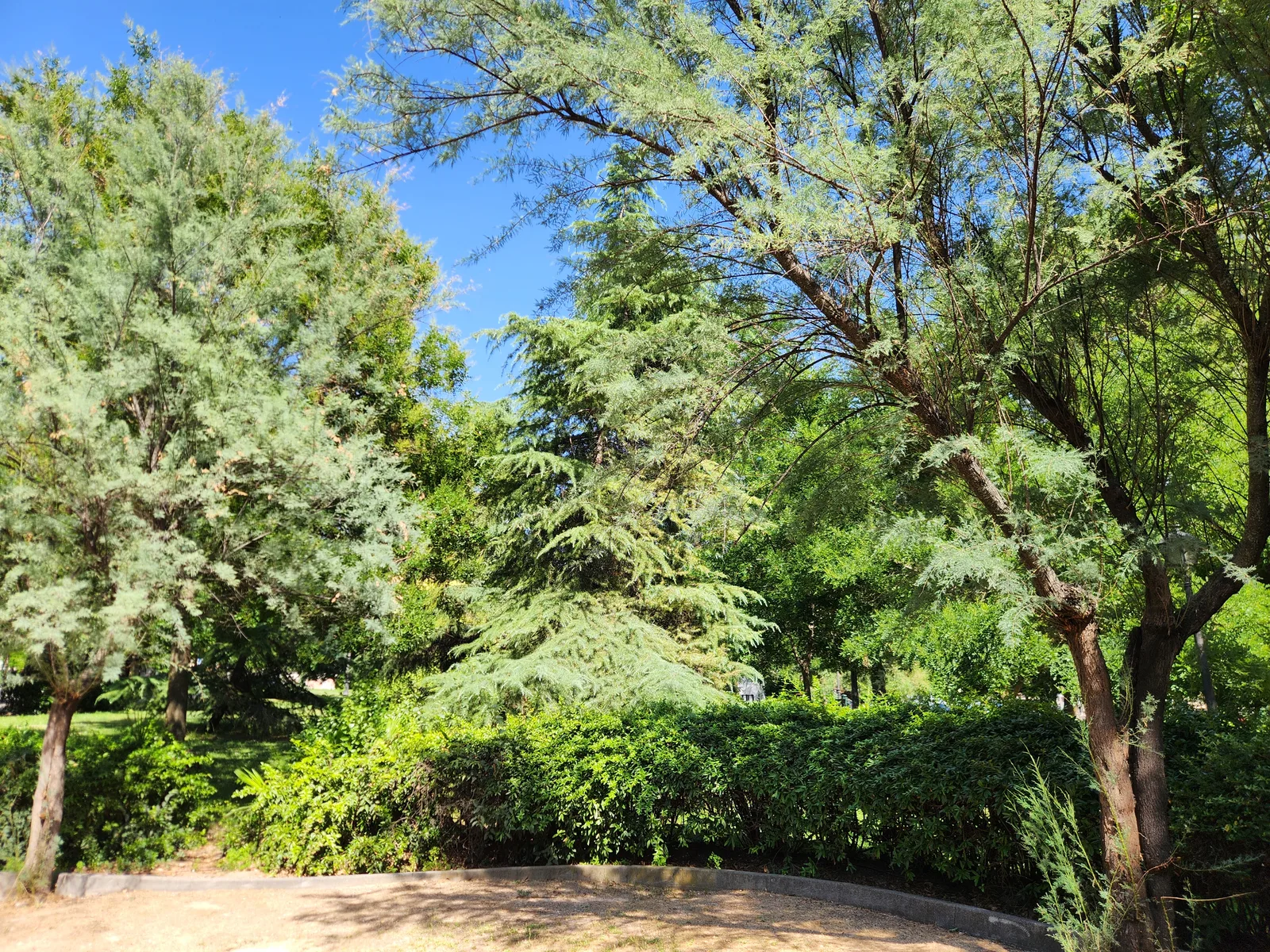 Details at Athens Park Madrid — travel photo