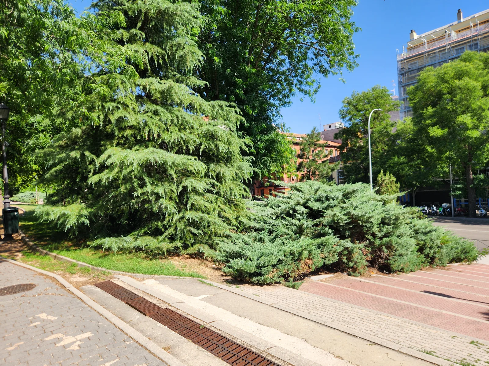 Atmosphere at Athens Park Madrid — travel photo