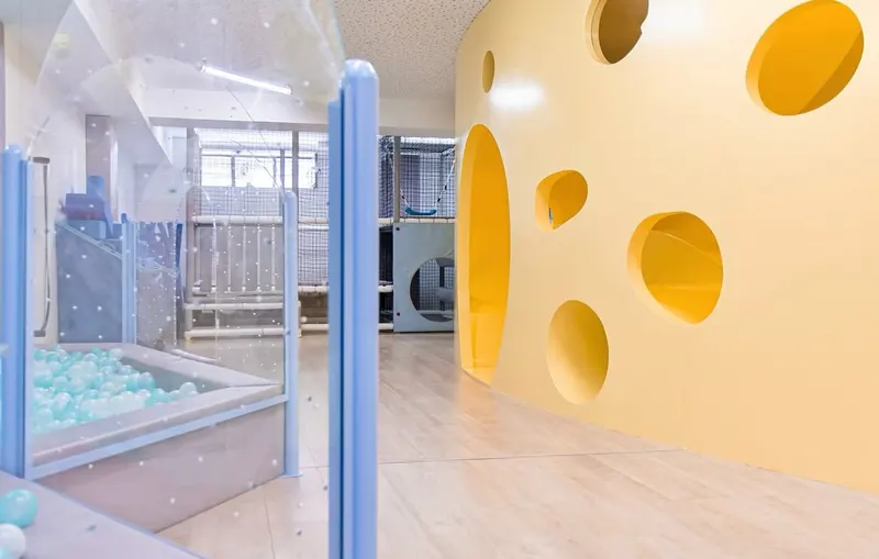 Columpio Playground in Madrid