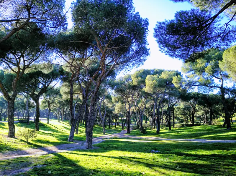 Dehesa de la Villa