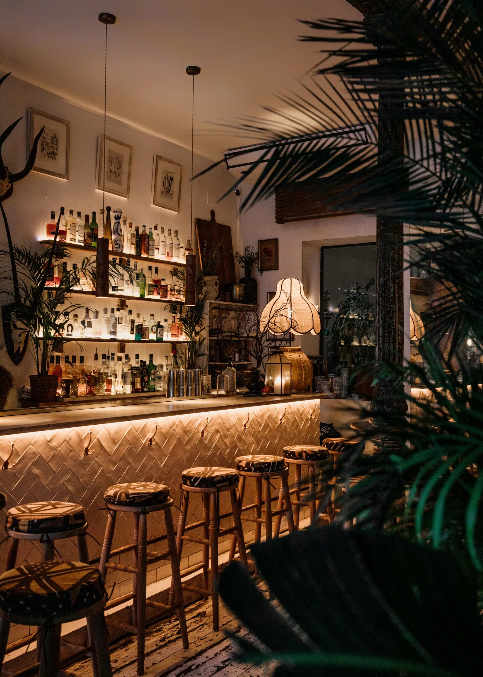 Main view at Ficus Bar Madrid — travel photo