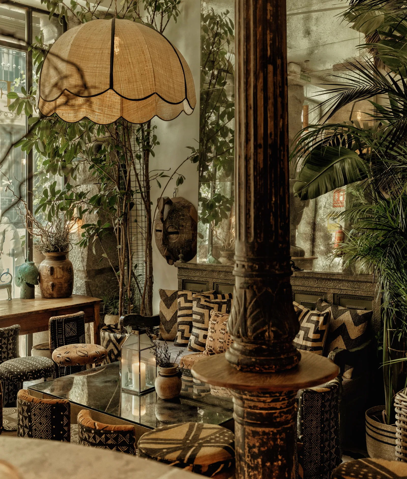 Ficus Bar — hidden gems guide Madrid