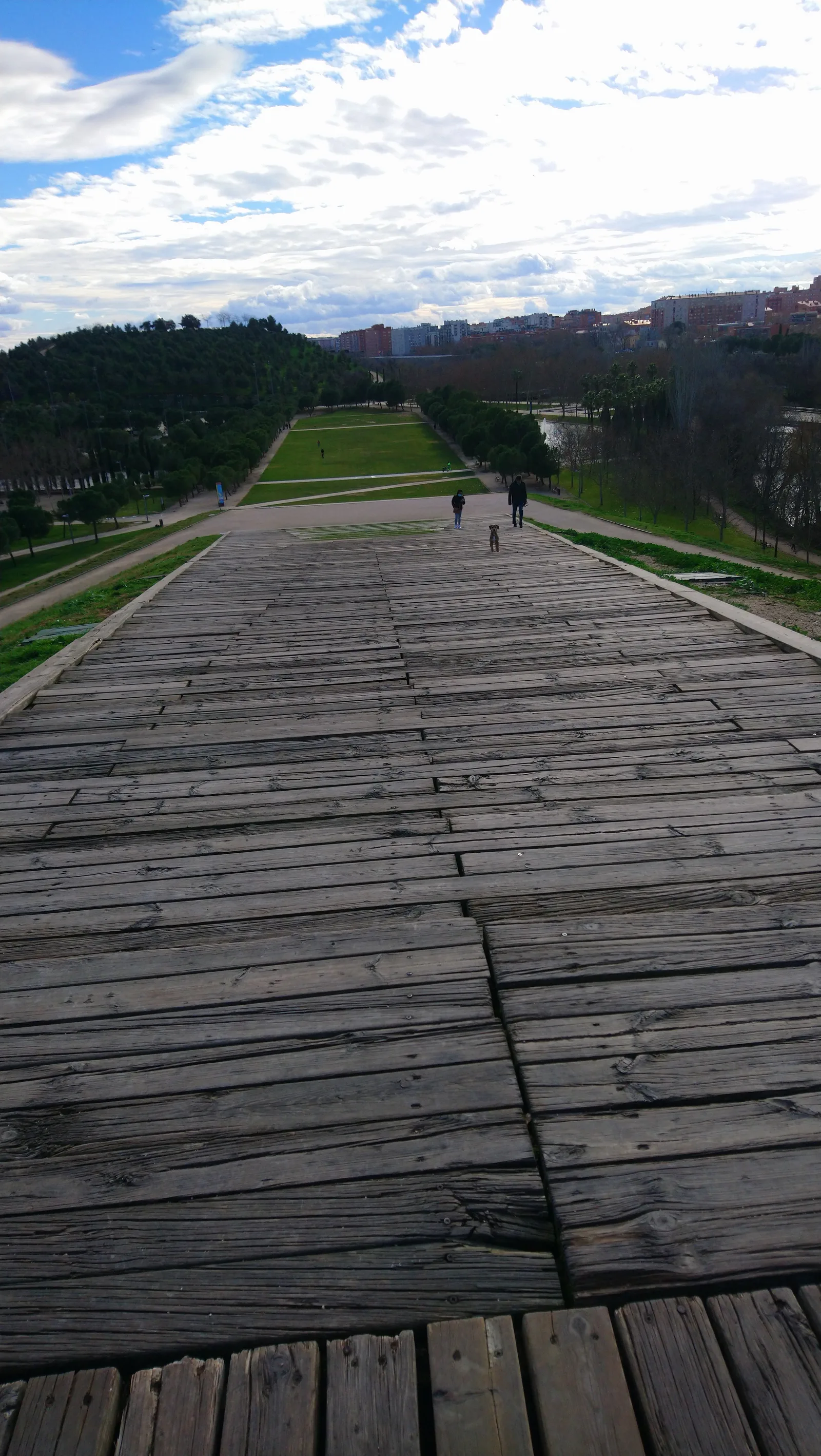 Details at Manzanares River Linear Park Madrid — travel photo