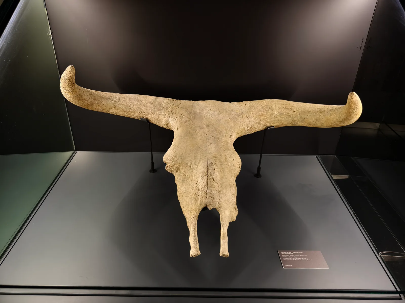 Details at Museo de San Isidro. Los Orígenes de Madrid Madrid — travel photo