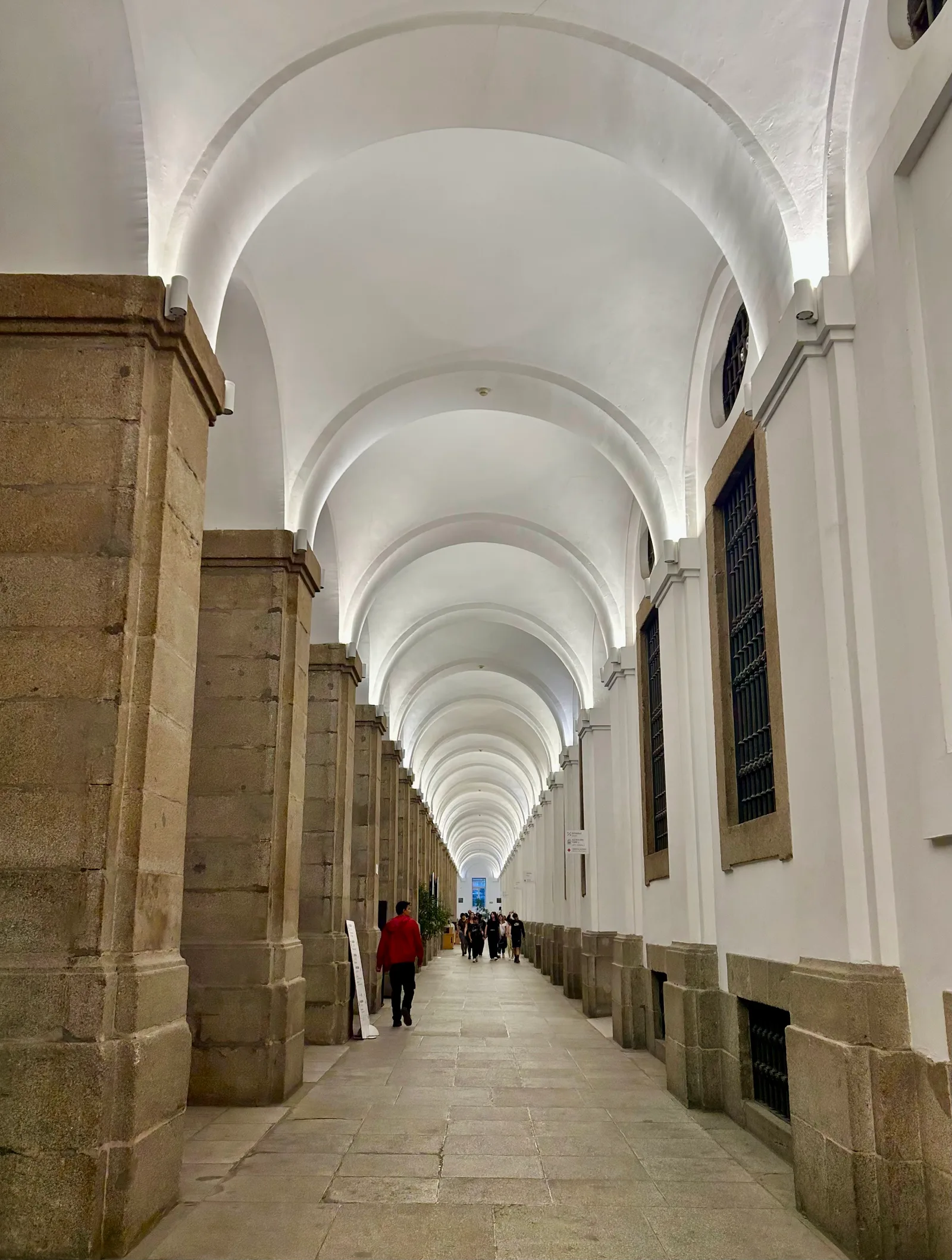 Main view at Museo Nacional Centro de Arte Reina Sofía Madrid — travel photo