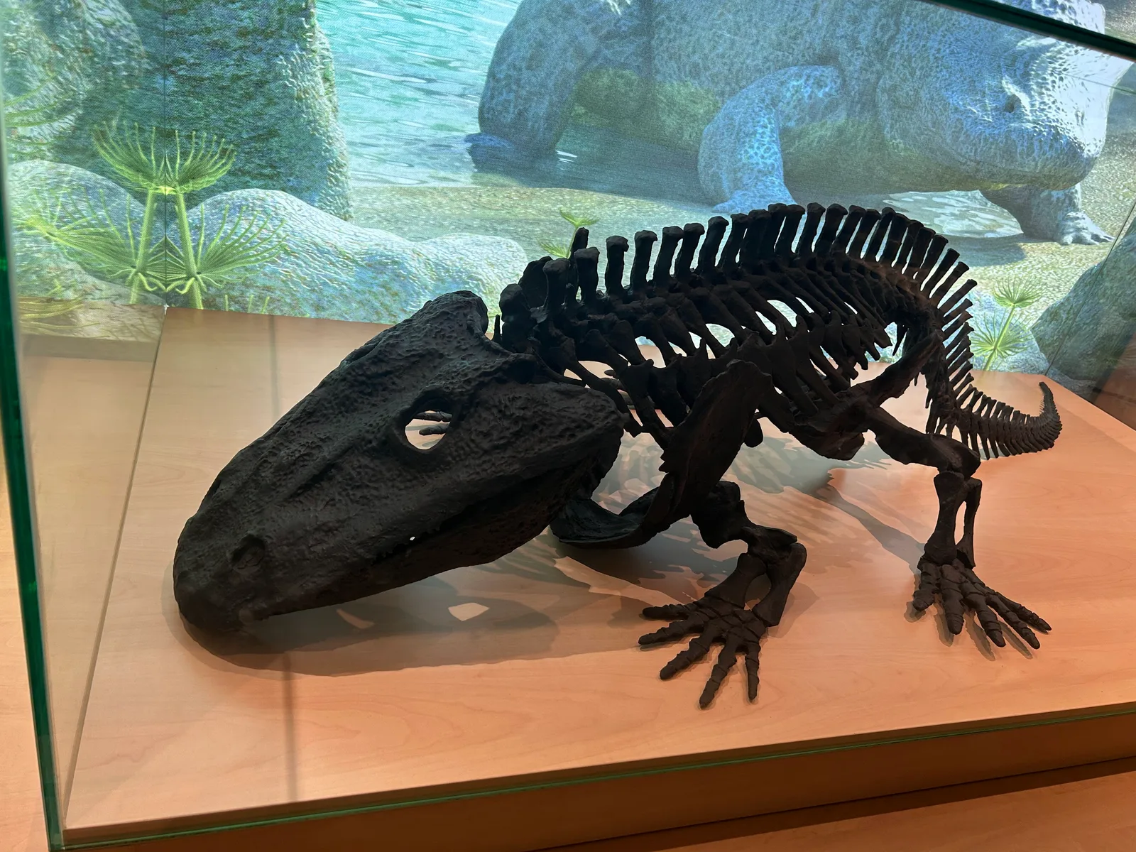 Main view at Museo Nacional de Ciencias Naturales Madrid — travel photo