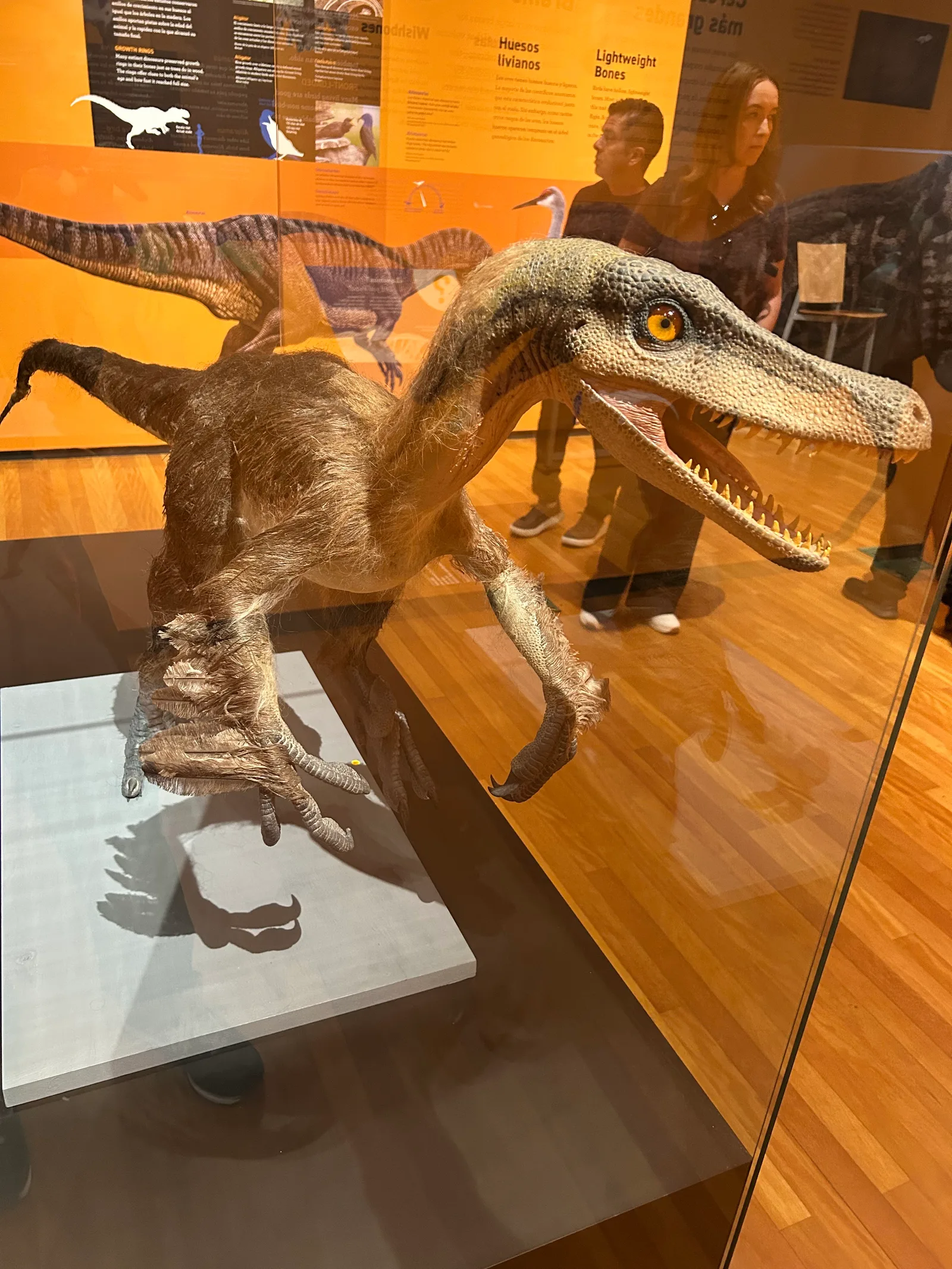 Details at Museo Nacional de Ciencias Naturales Madrid — travel photo