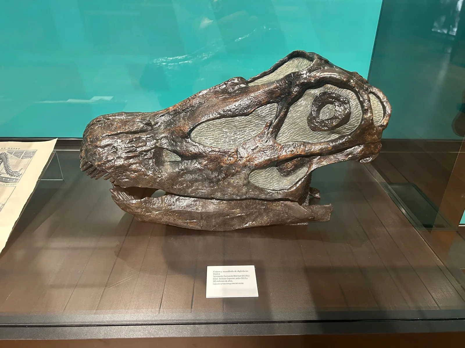 Atmosphere at Museo Nacional de Ciencias Naturales Madrid — travel photo