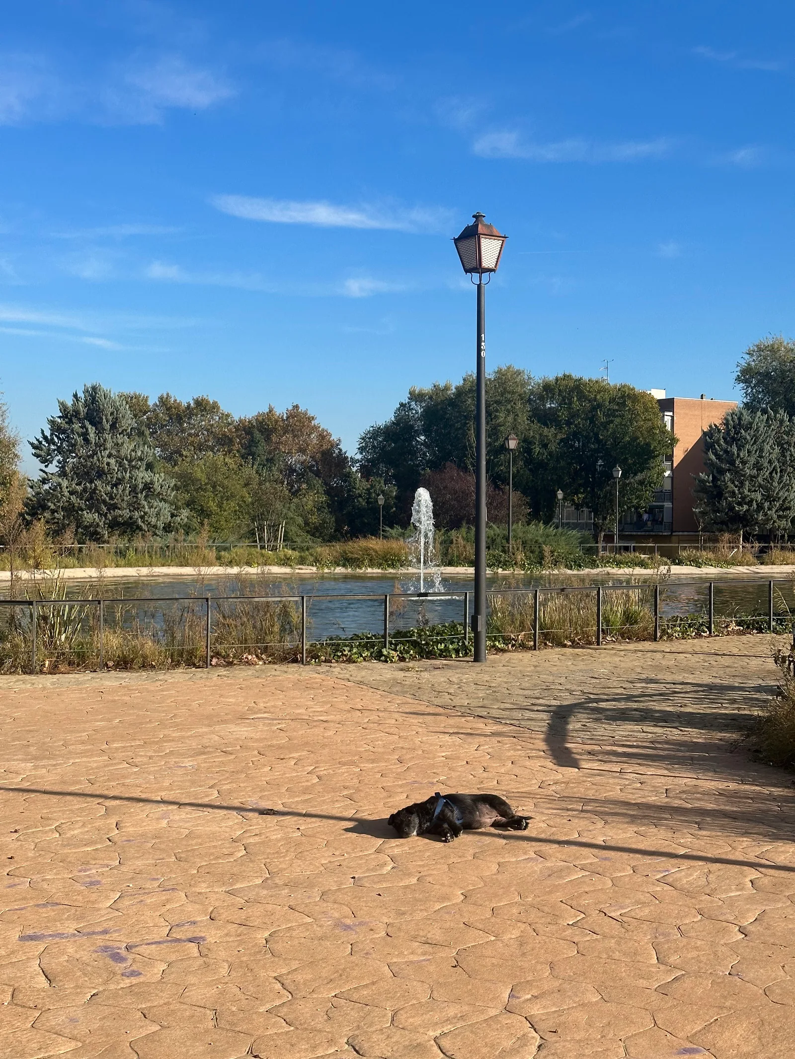 Interior at Parque de la Cuña Verde de Latina Madrid — travel photo