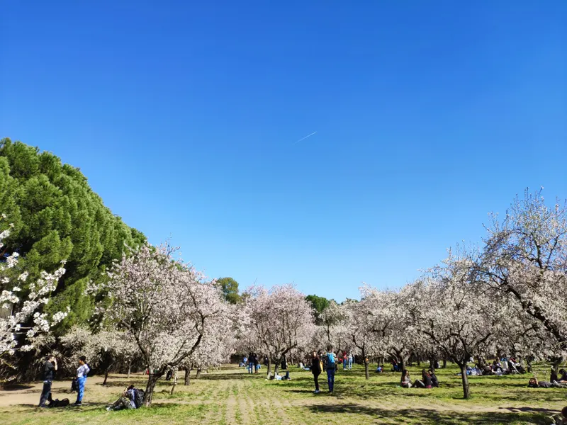 Parque de la Quinta de los Molinos