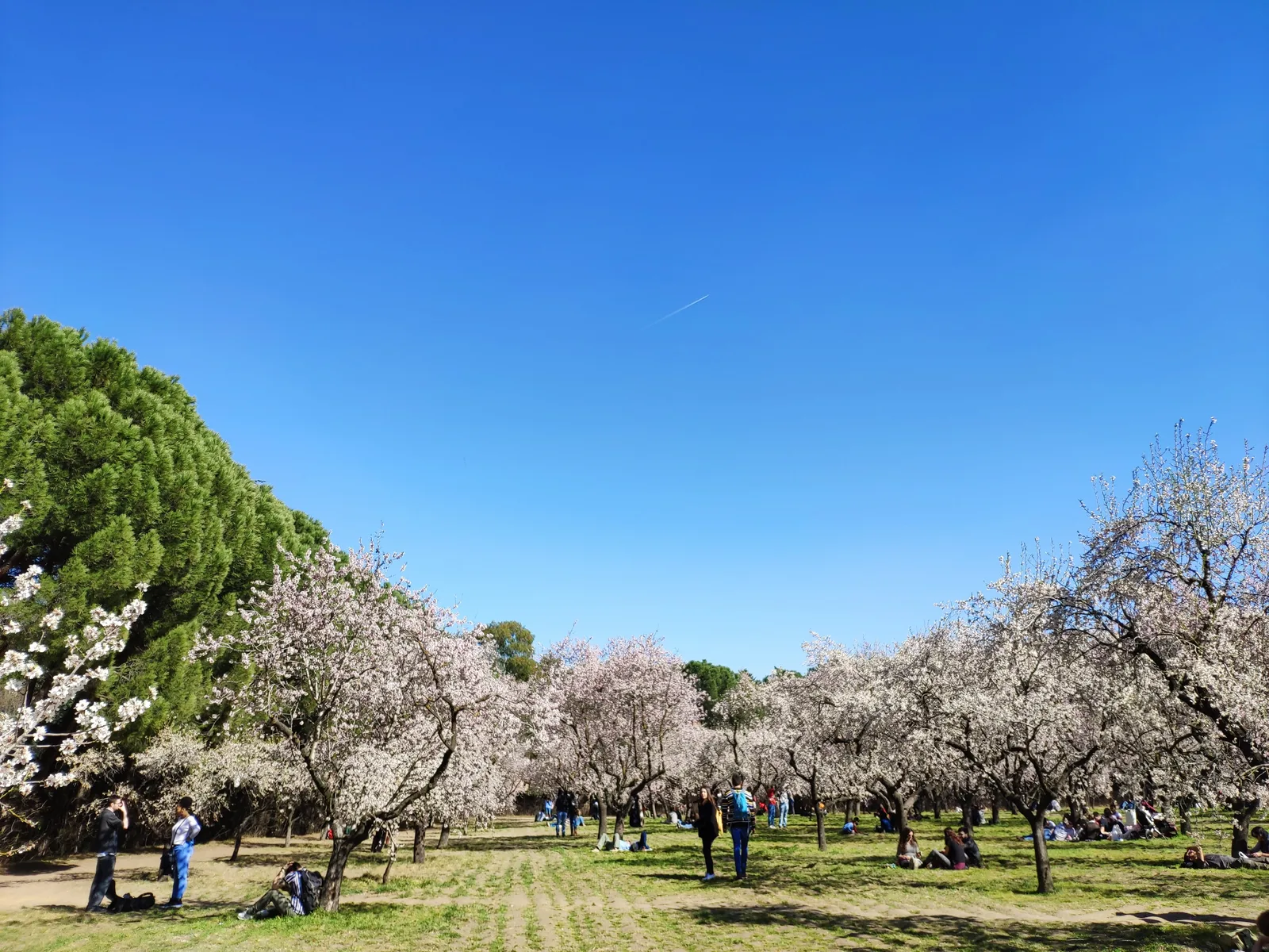 Parque de la Quinta de los Molinos