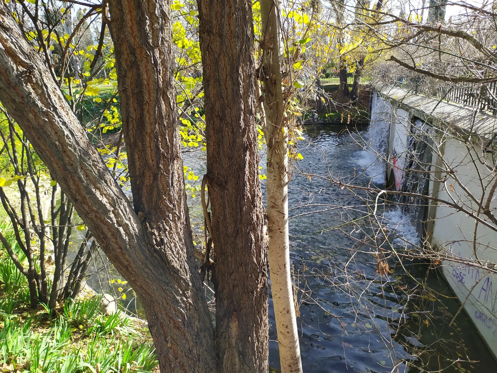 Atmosphere at Parque de Pradolongo Madrid — travel photo