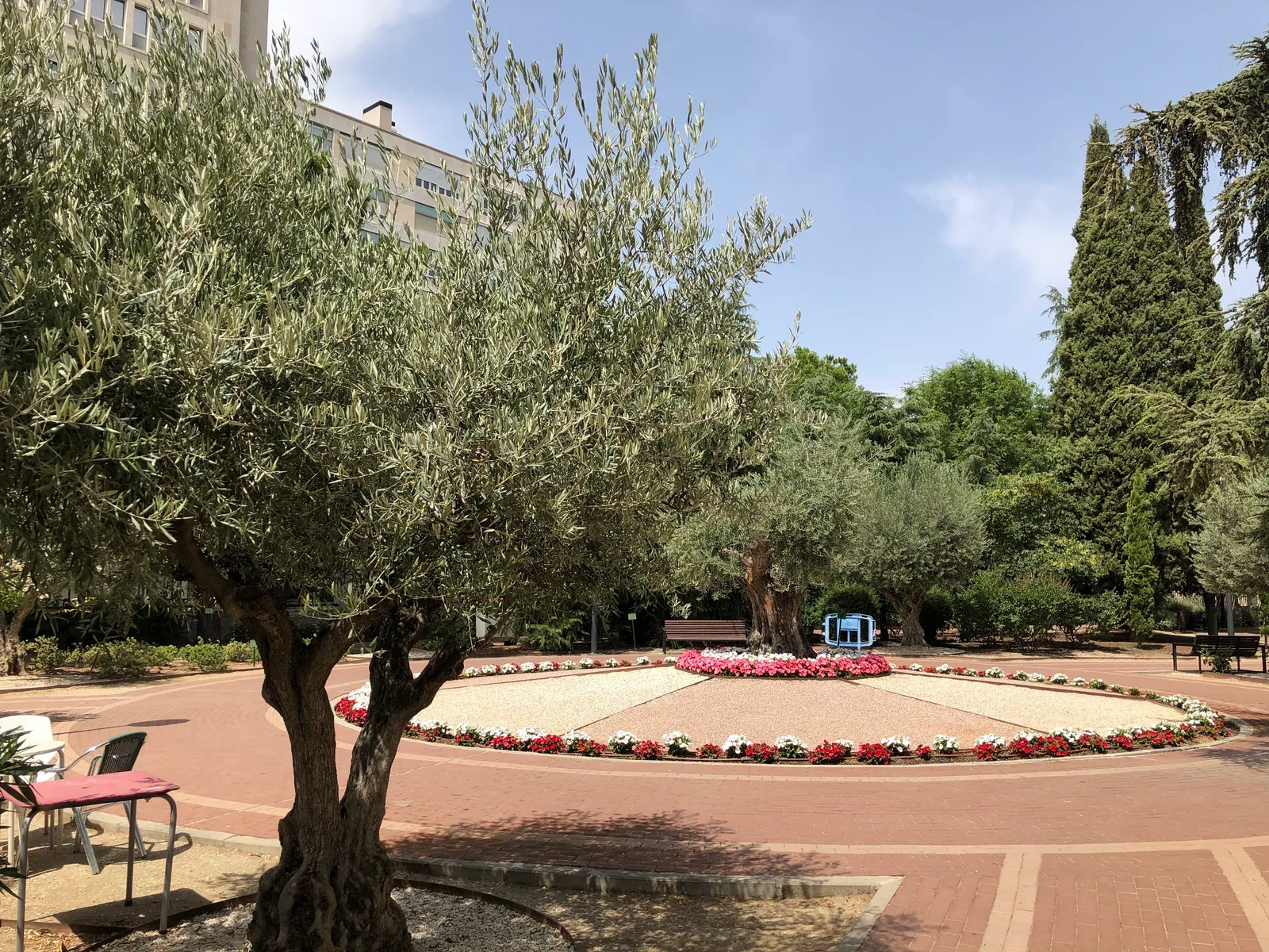 Interior at Parque de Santander Madrid — travel photo