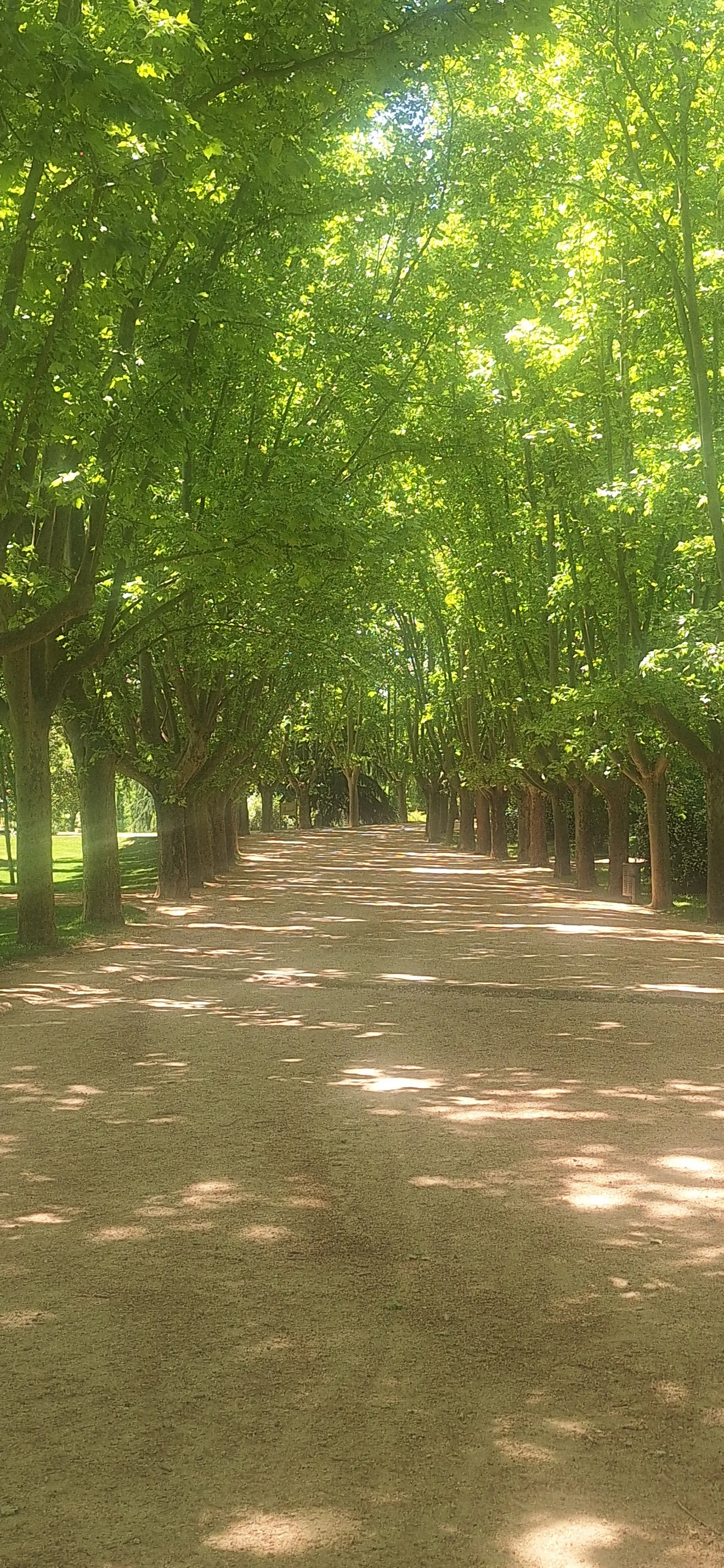 Interior at Parque del Oeste Madrid — travel photo