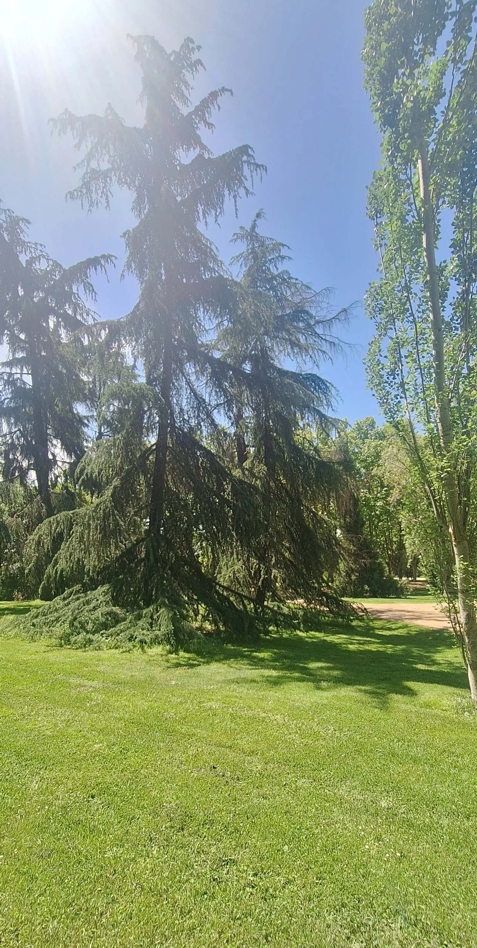 Details at Parque del Oeste Madrid — travel photo
